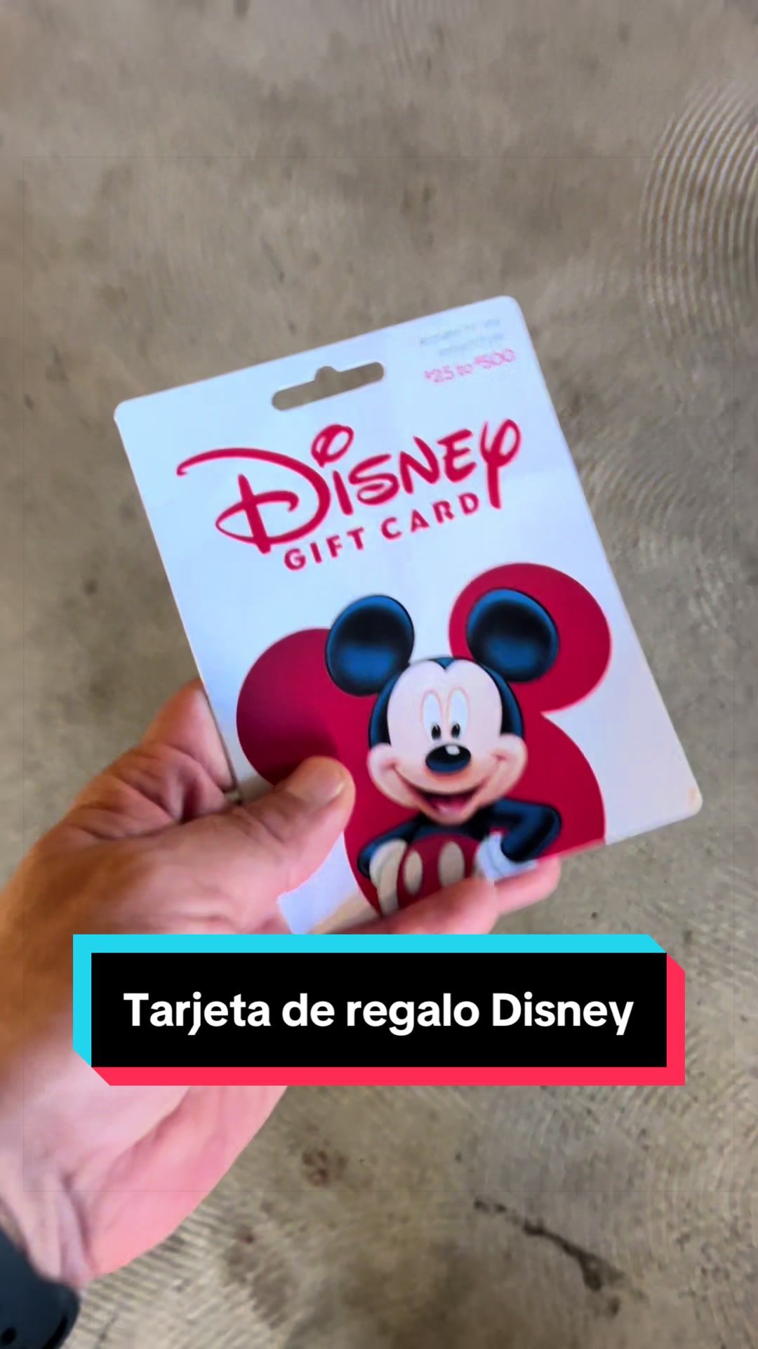 @En Disneylandia