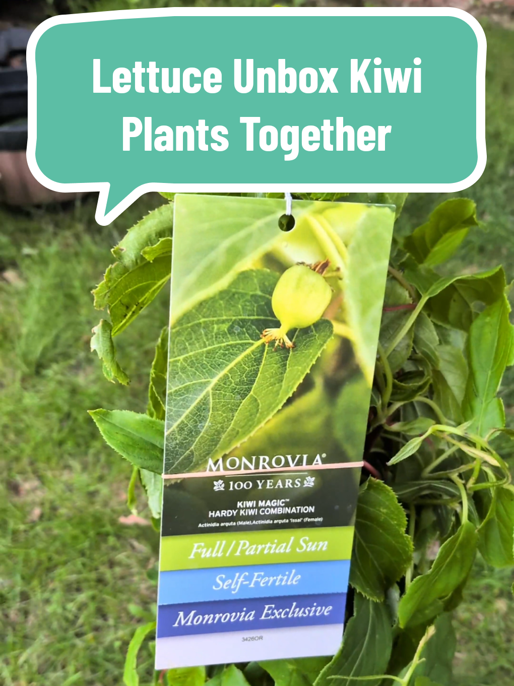 @The Plantiful Gardener