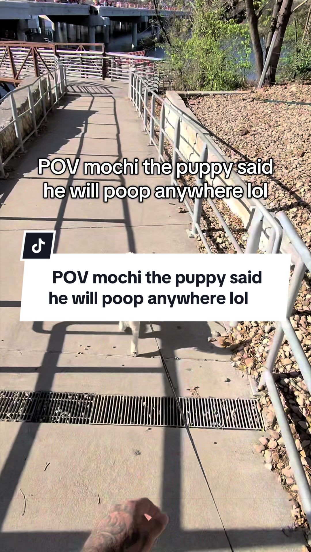 @Mochithemenace