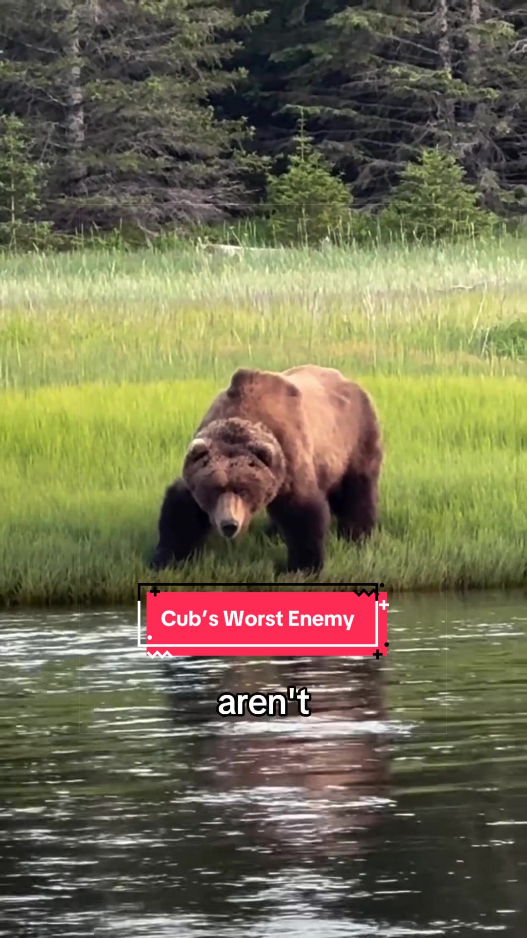 @Snugbarn