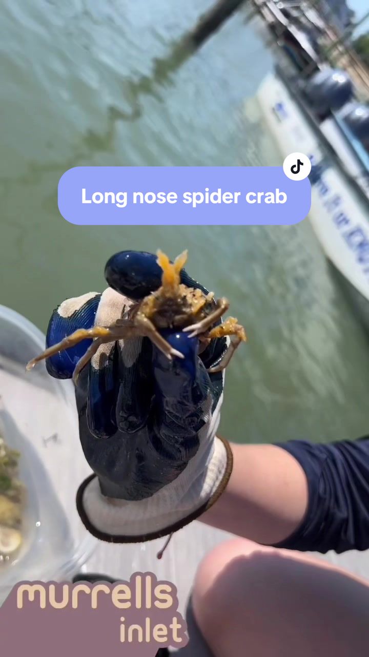 @Your Ocean BFF & Fun Facts🪼