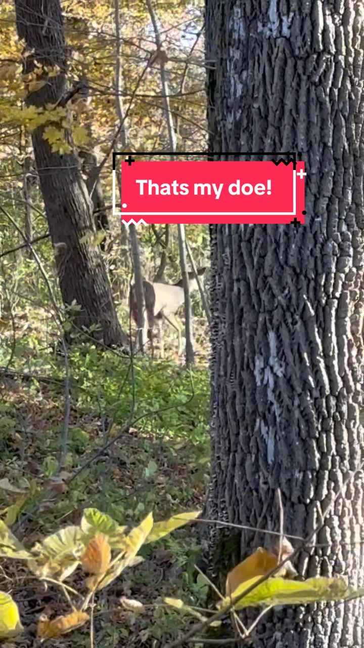 @The Corridor Outdoors