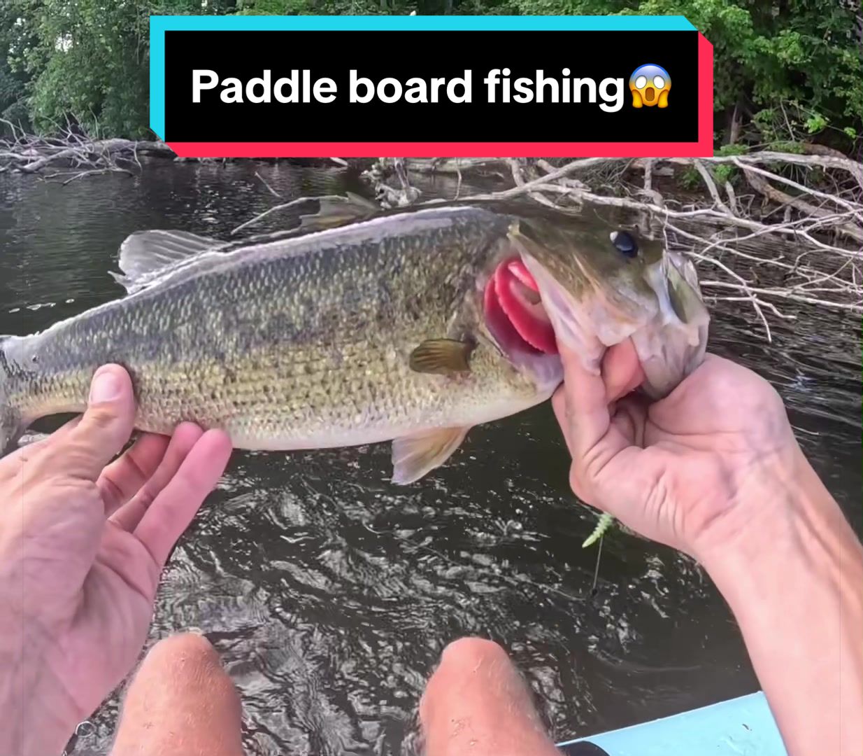@sams.fishing_