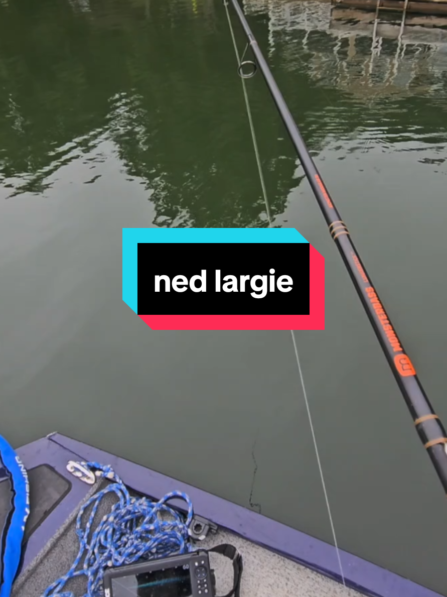 @SP_The_Ned_Master