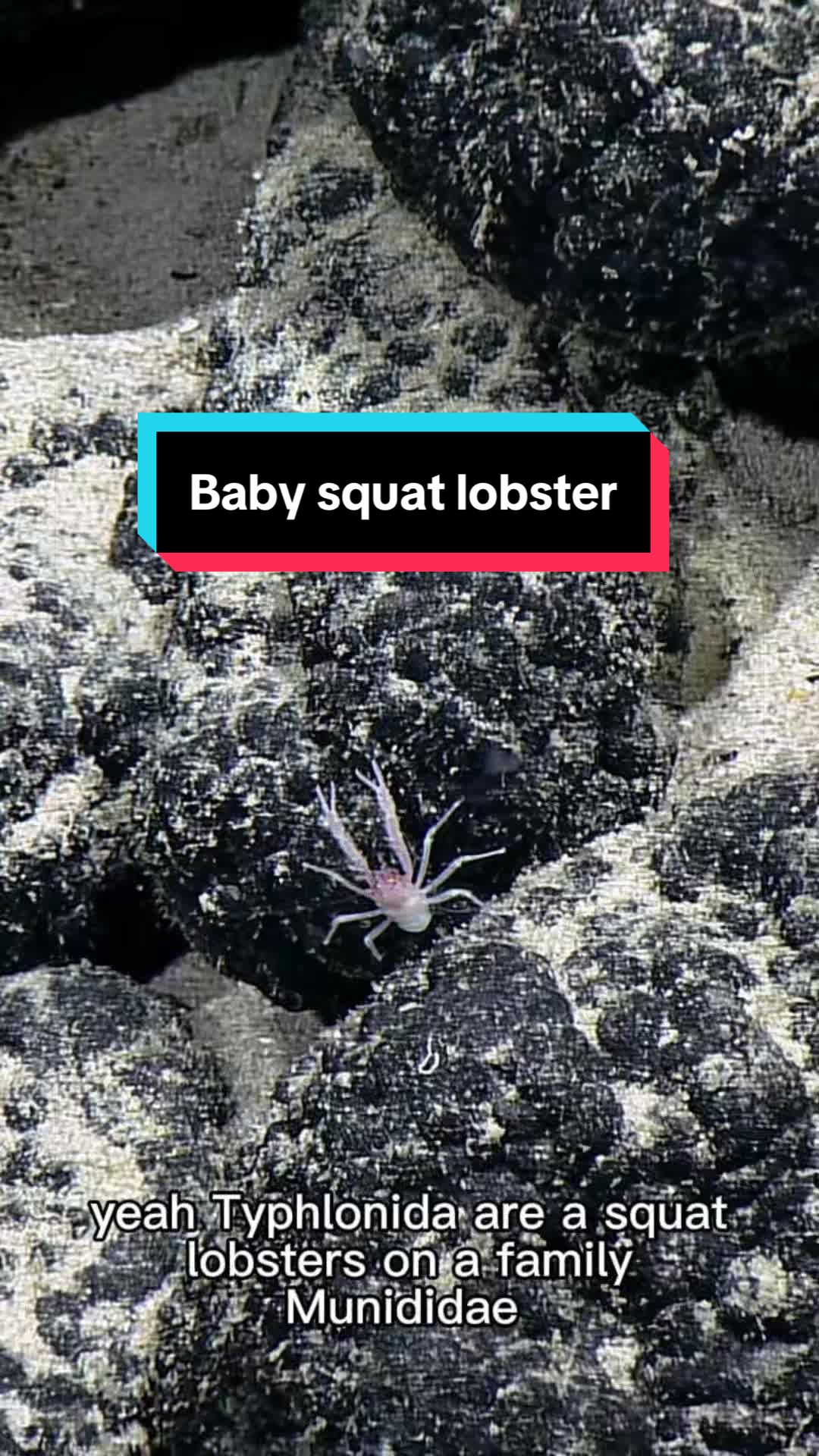 @Ocean Exploration Trust