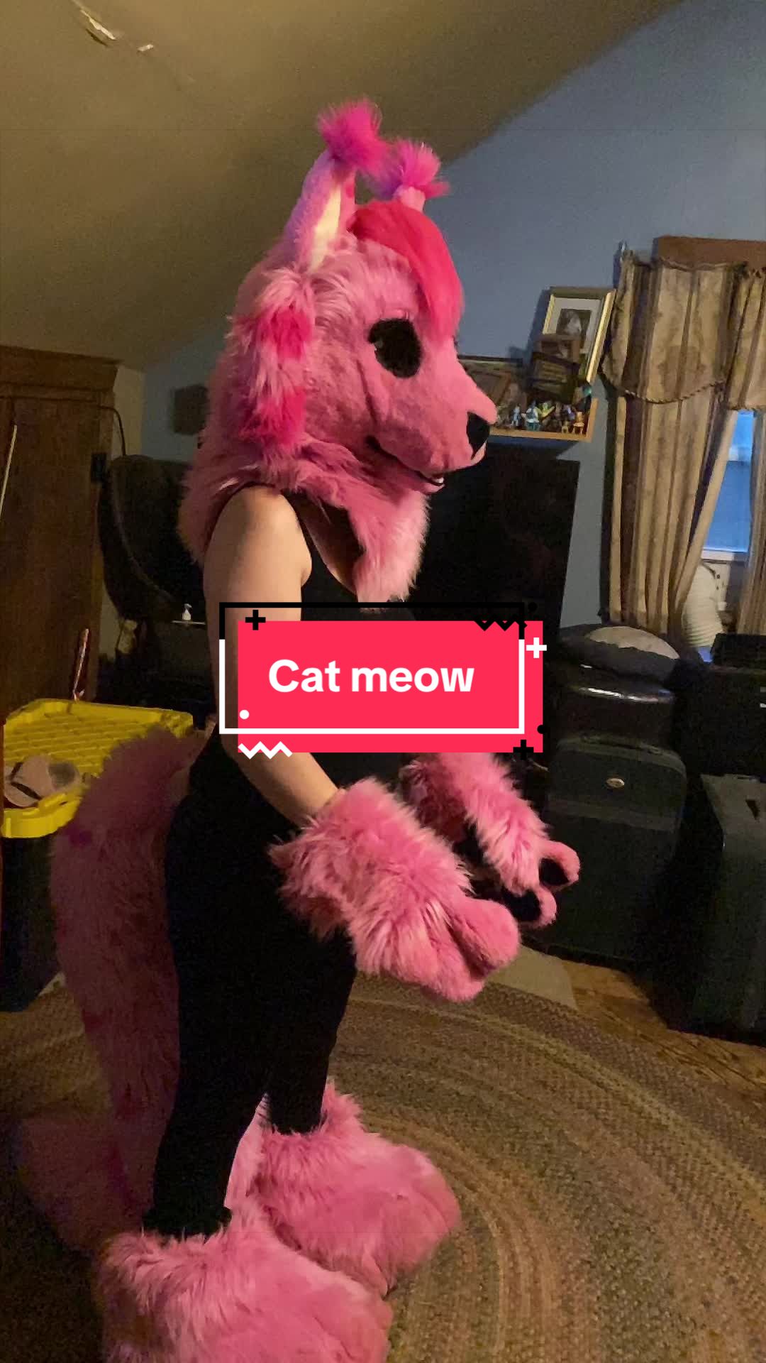 @Annakitty13