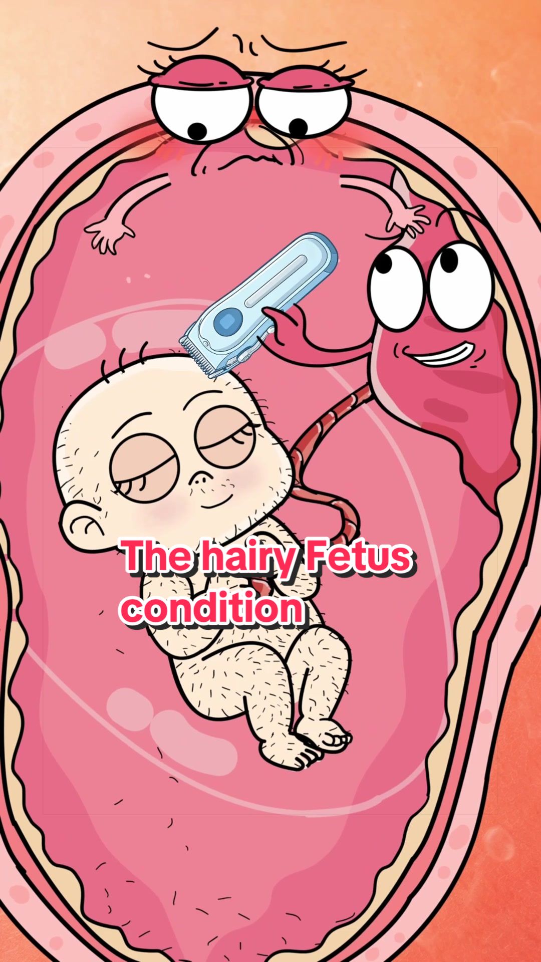@Funny Animations