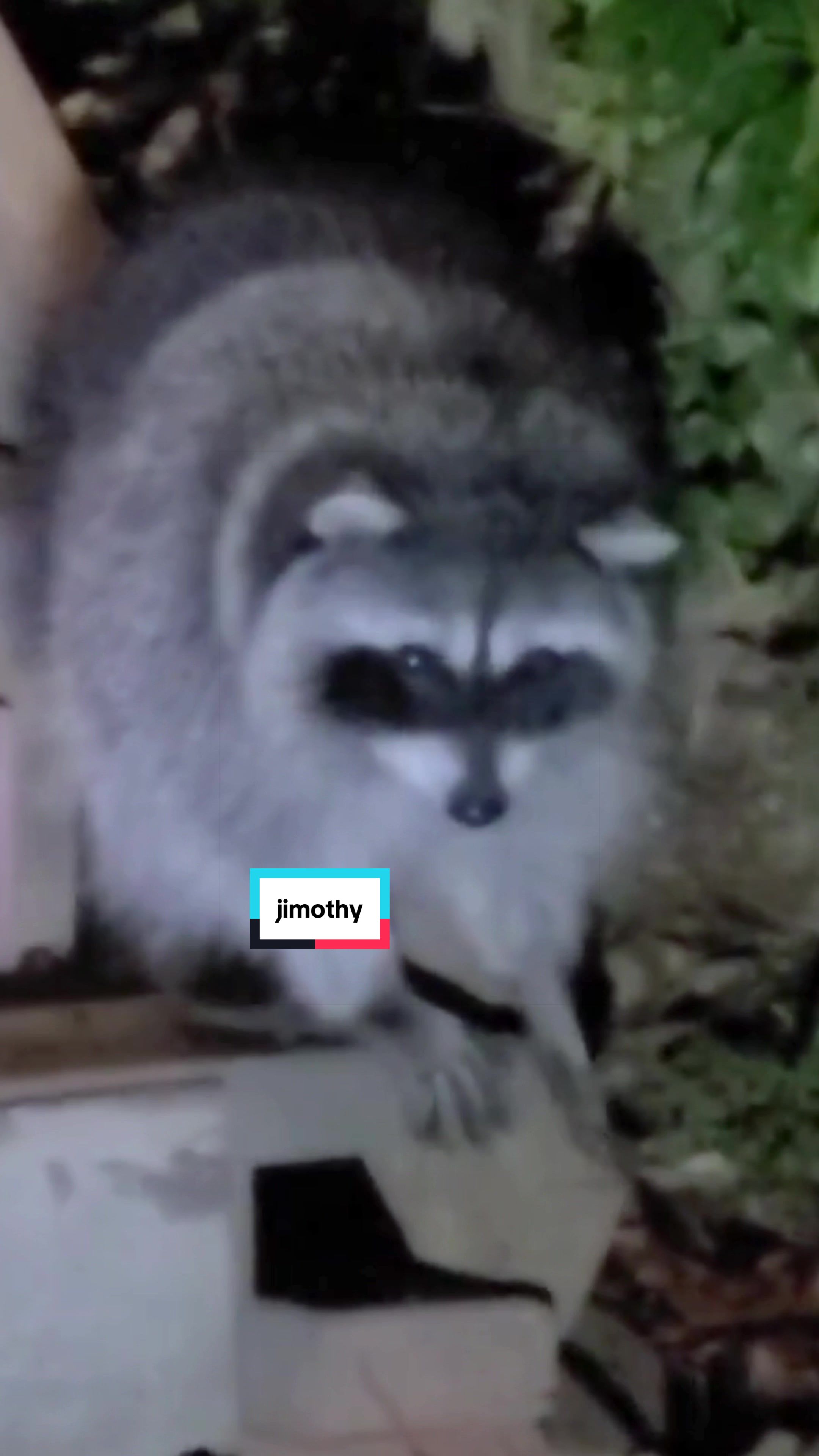 @Hyraxhub