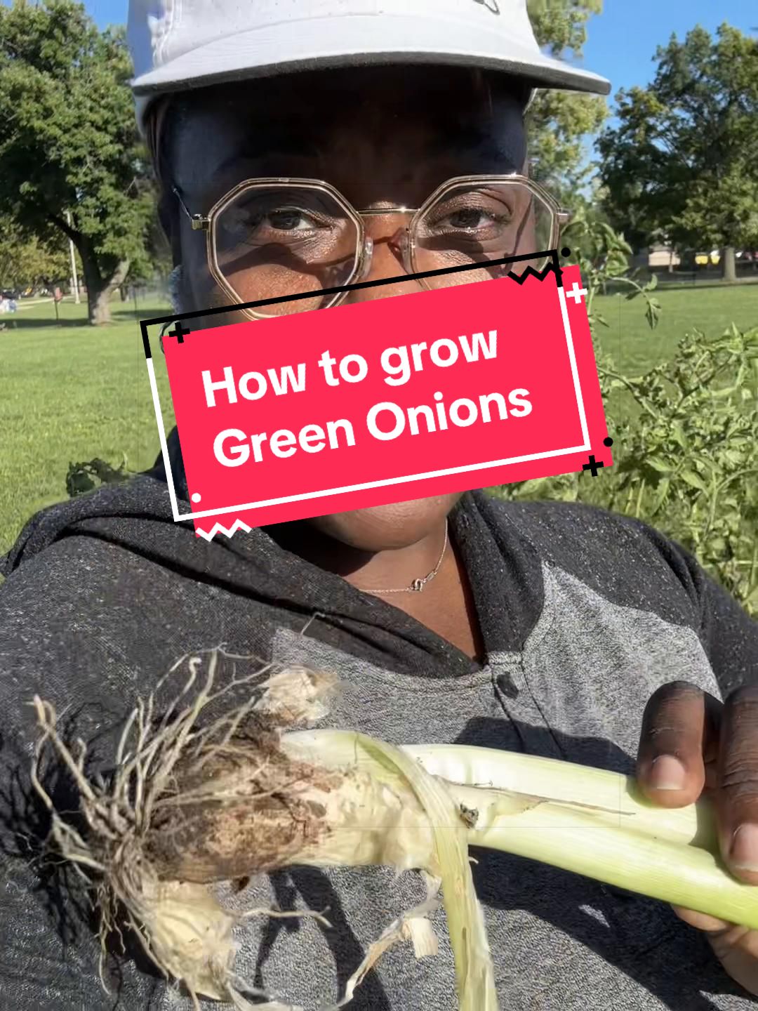 @greengirlgardens