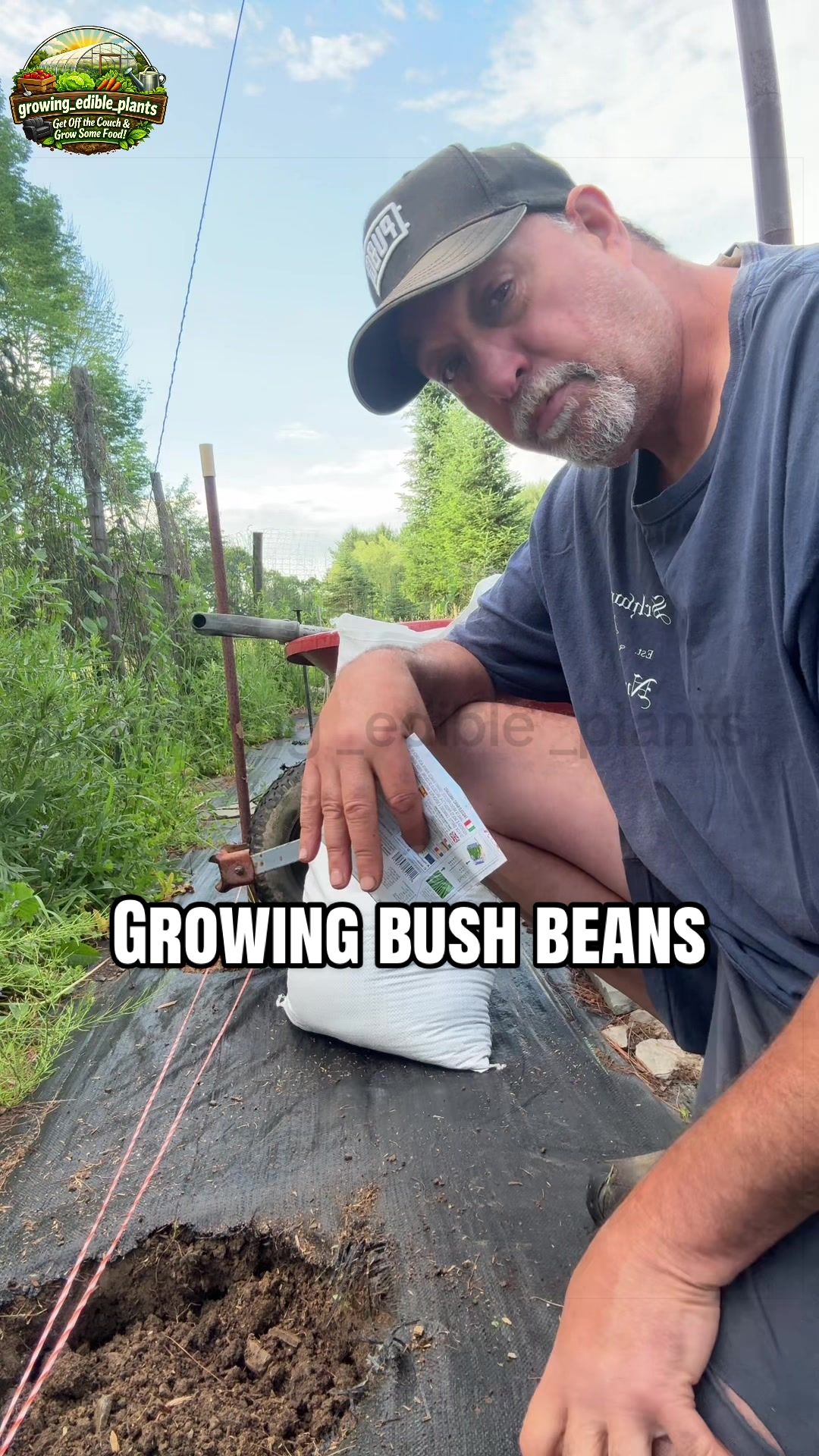 @GROWING_EDIBLE_PLANTS