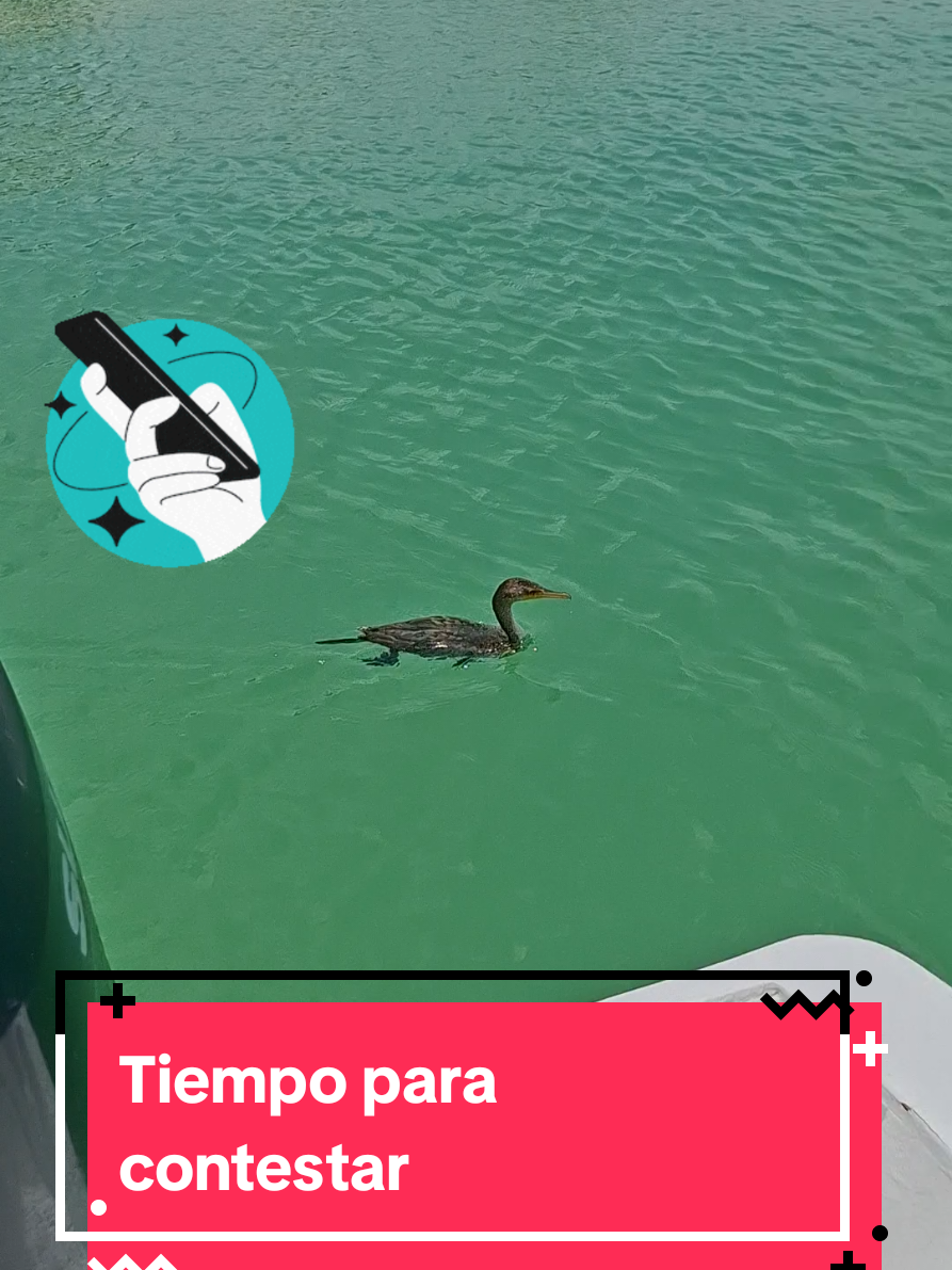 @vvdiasdplaya