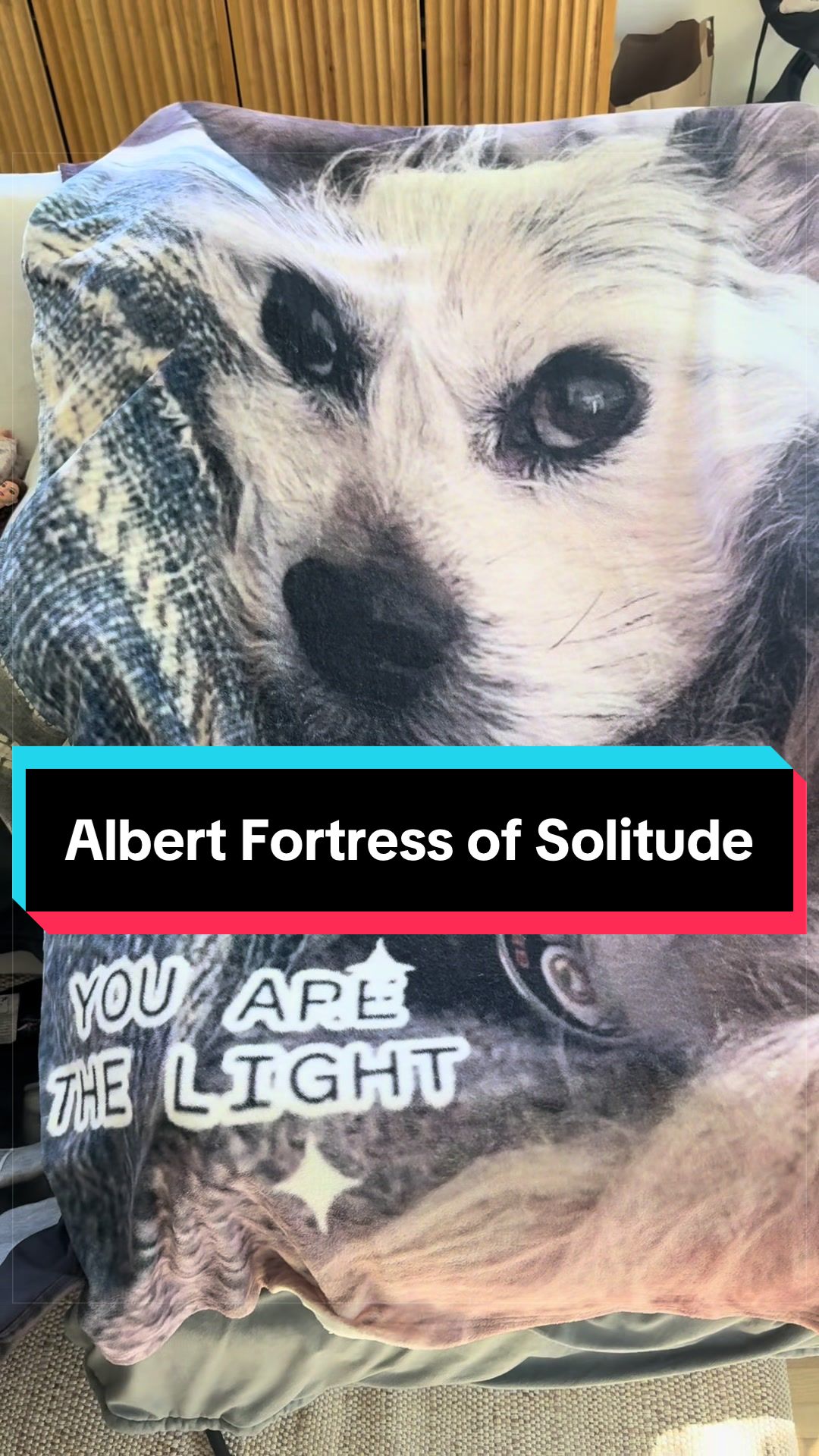 @Albertsbucketlist