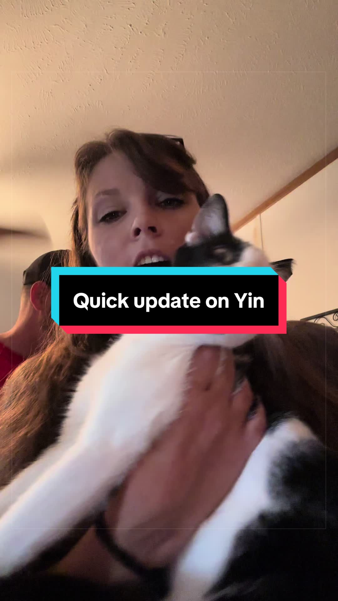 @catlover313official