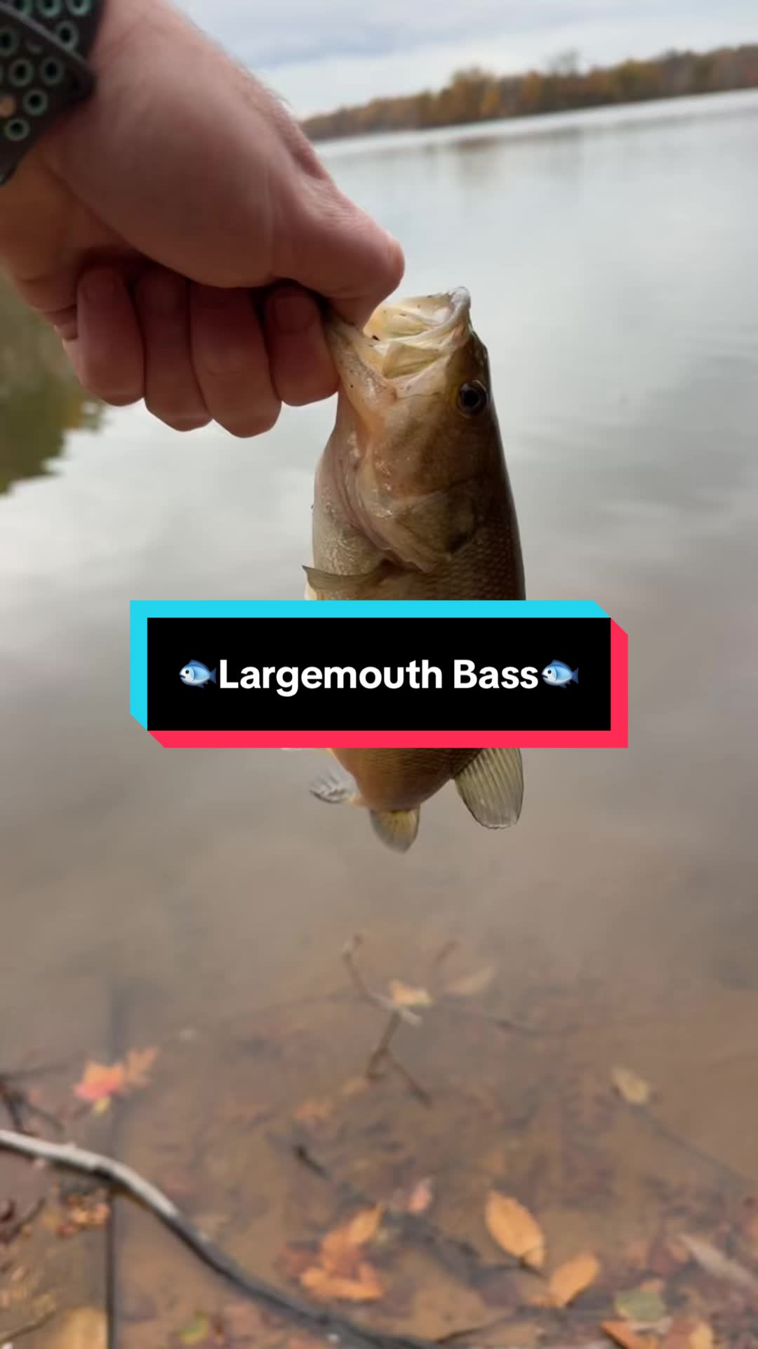 @fb1fishing