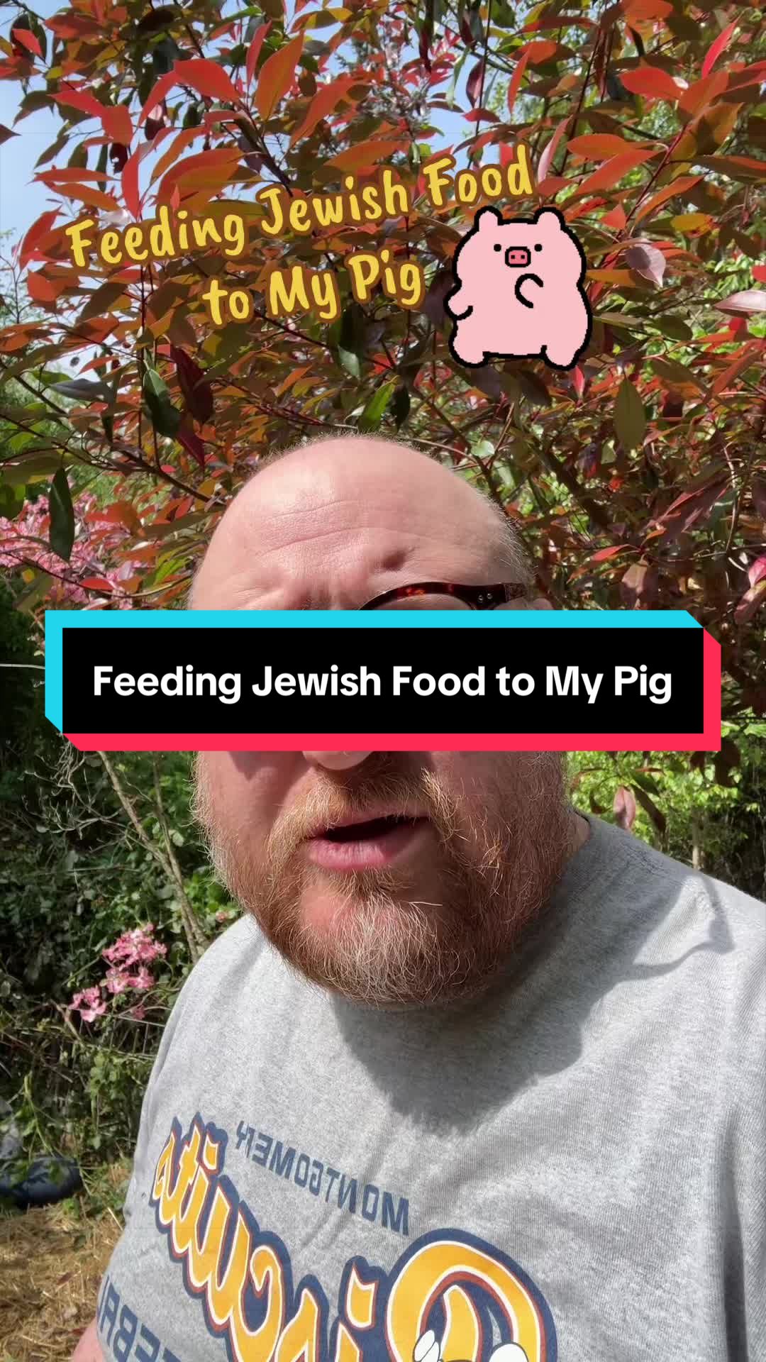 @Rabbi Seth Goldstein
