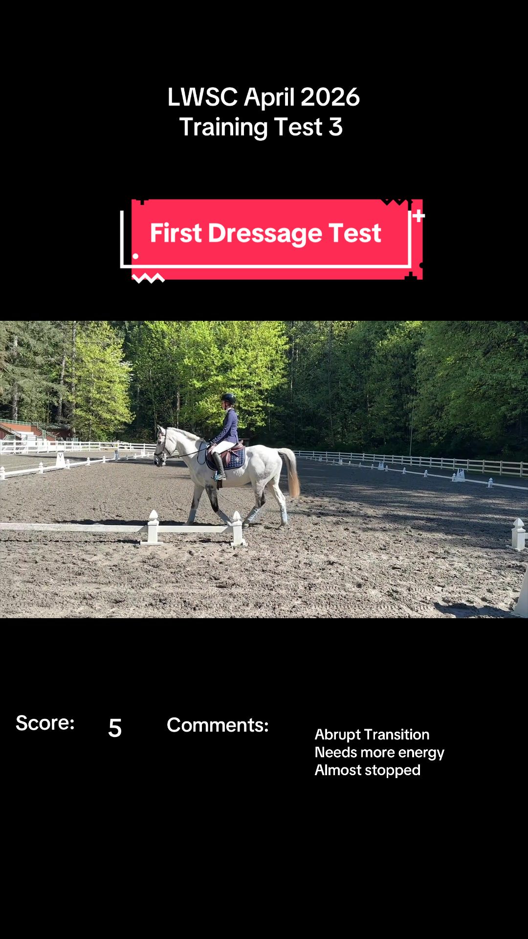 @BlueStarEquestrian