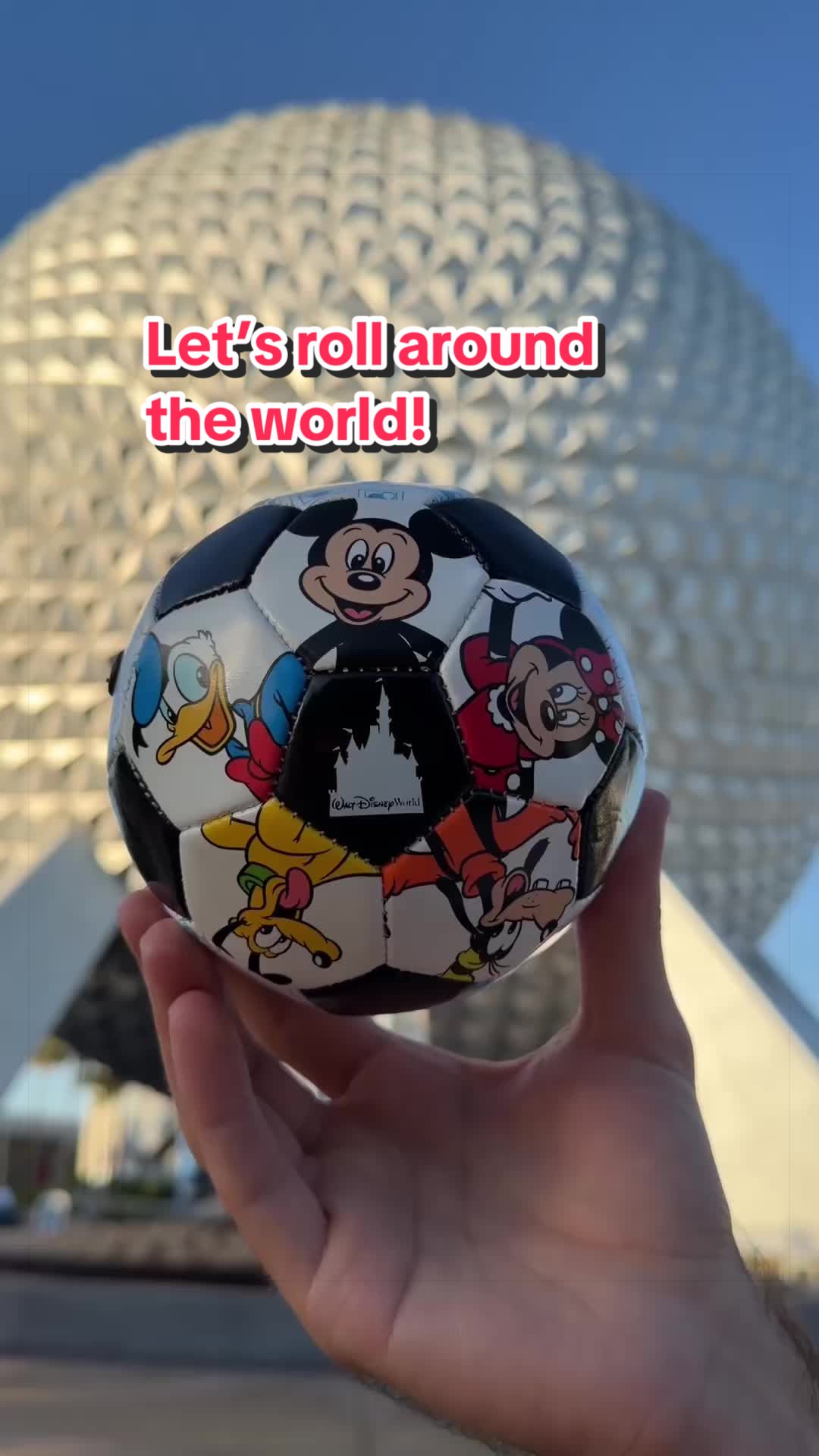 @Disney Parks
