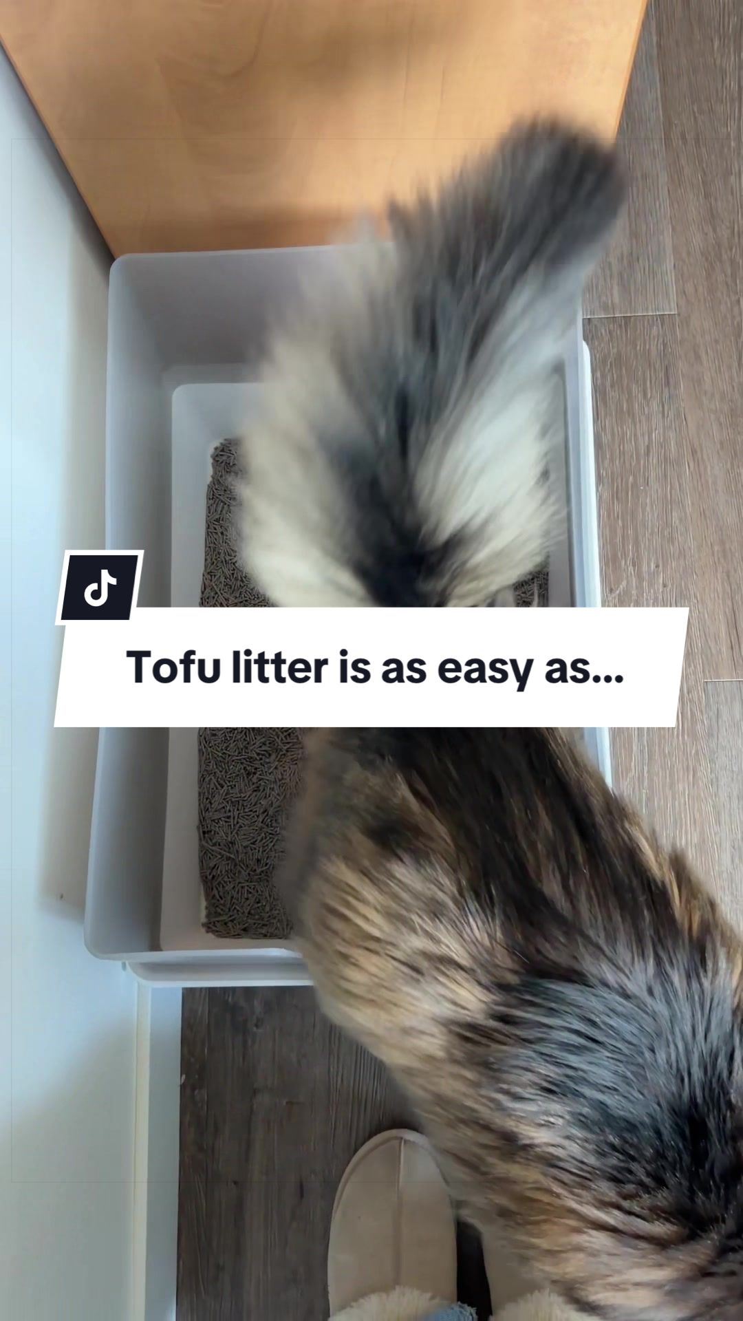 @Tuft & Paw