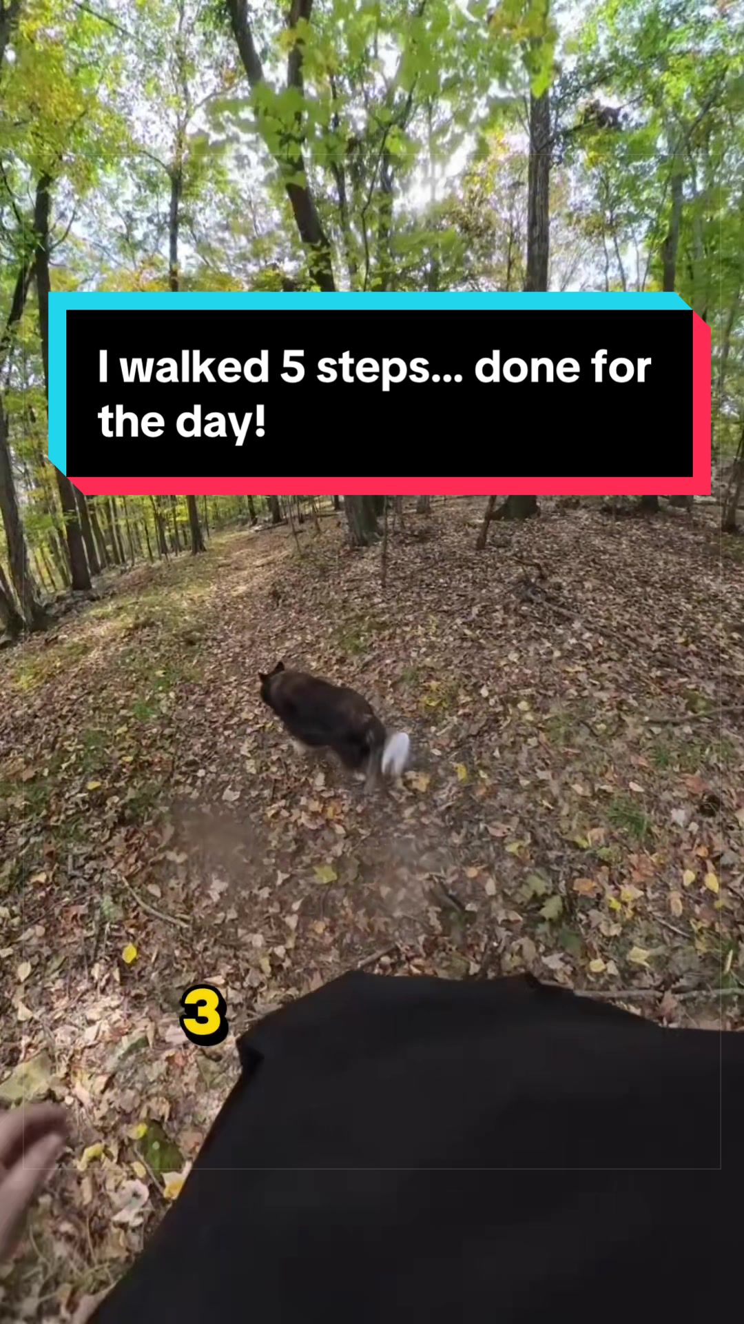 @Dakota & Pups