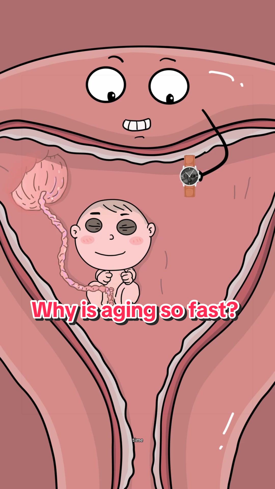 @Funny Animations