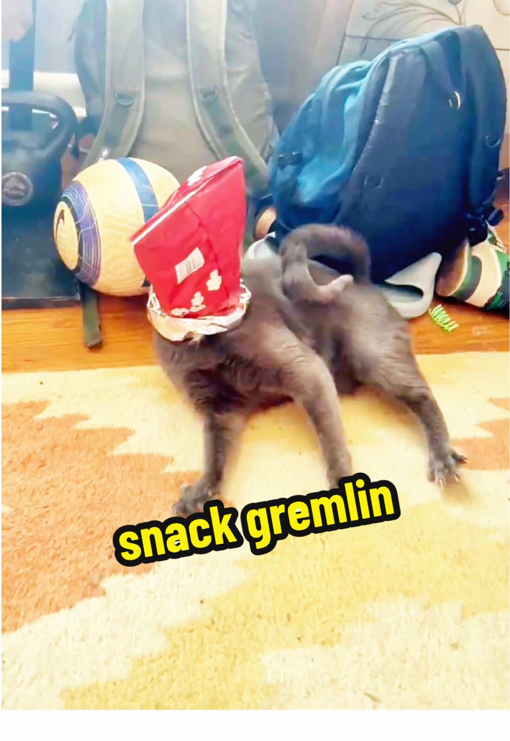 @NermalTCat