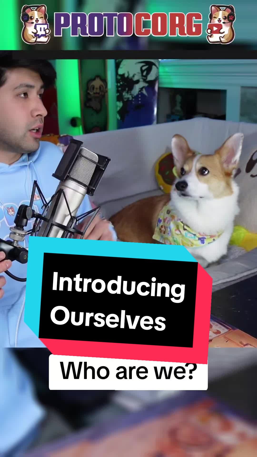 @Protocorg | Twitch Streamer