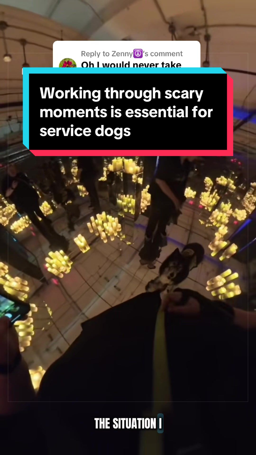 @Dakota & Pups