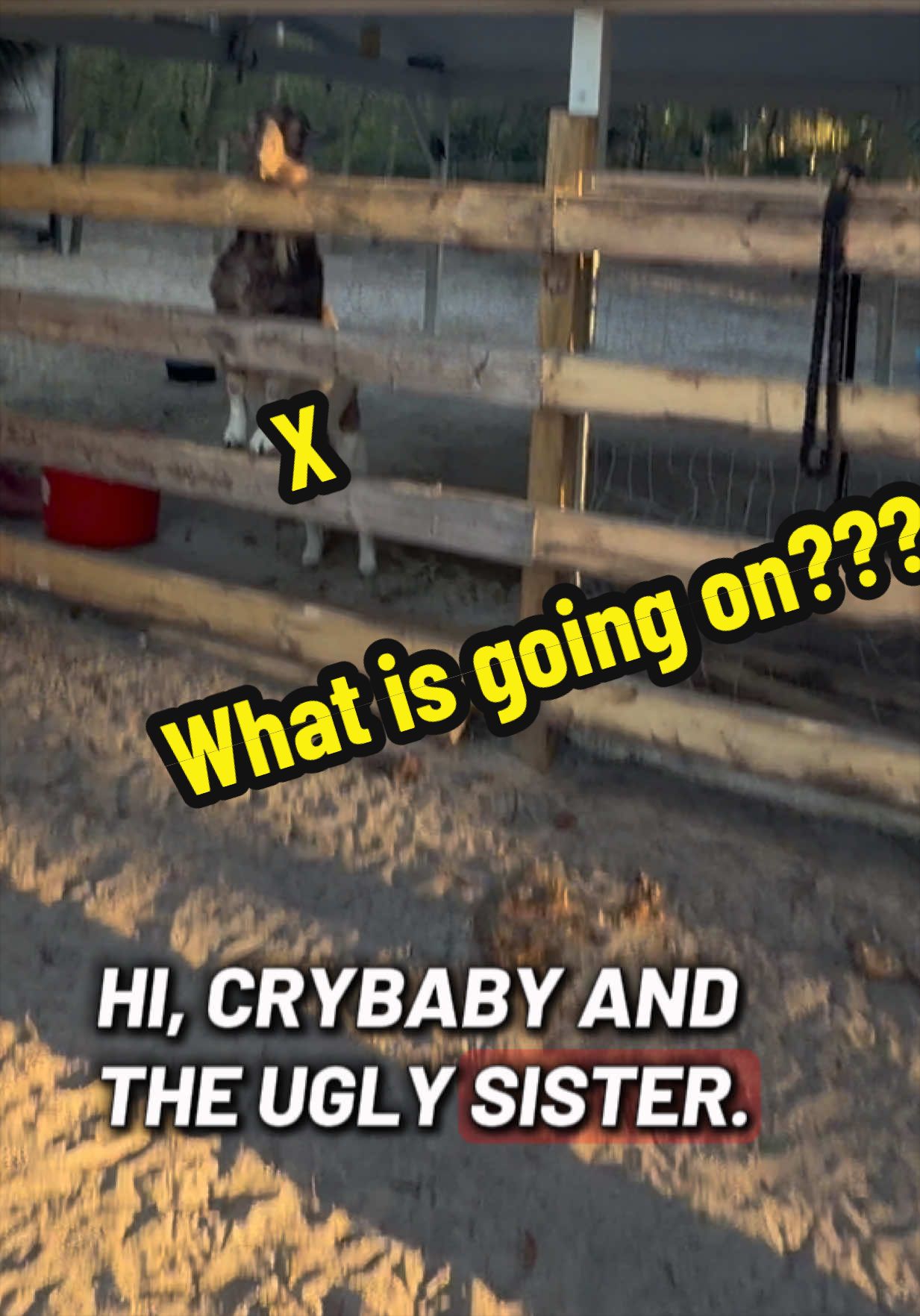 @R Ranch