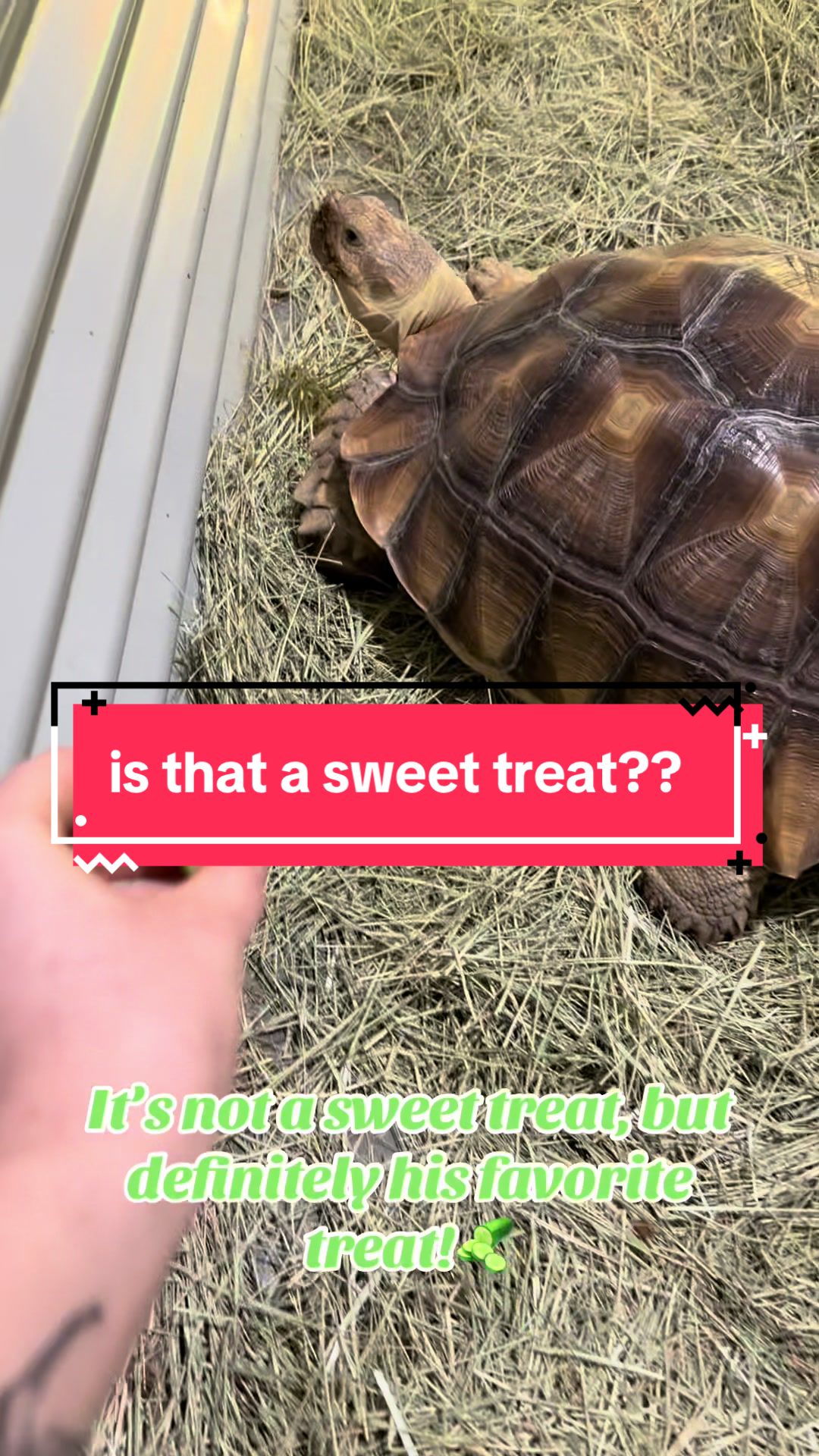 @Artie