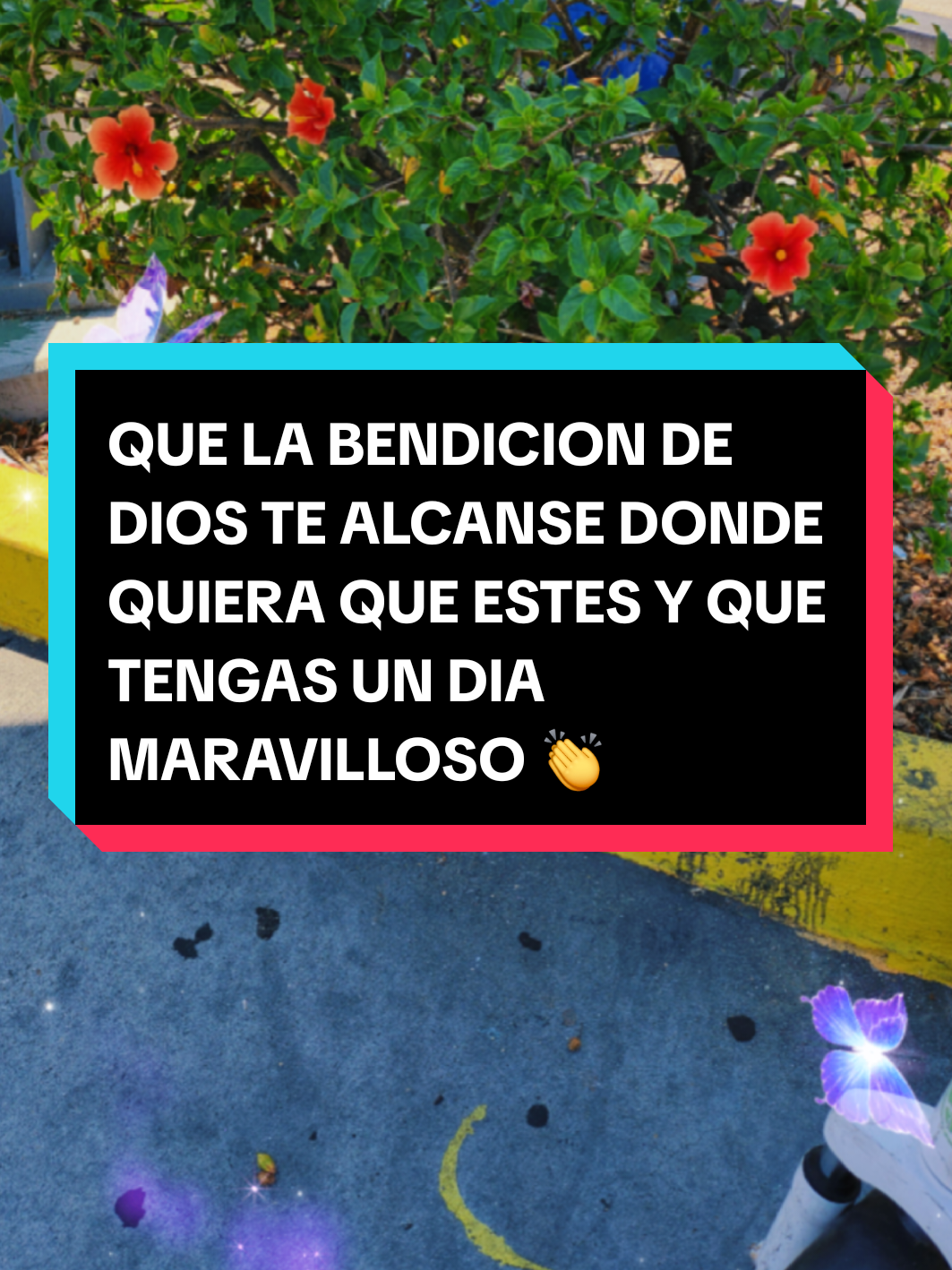 @🍀chaguis 🦁🦁