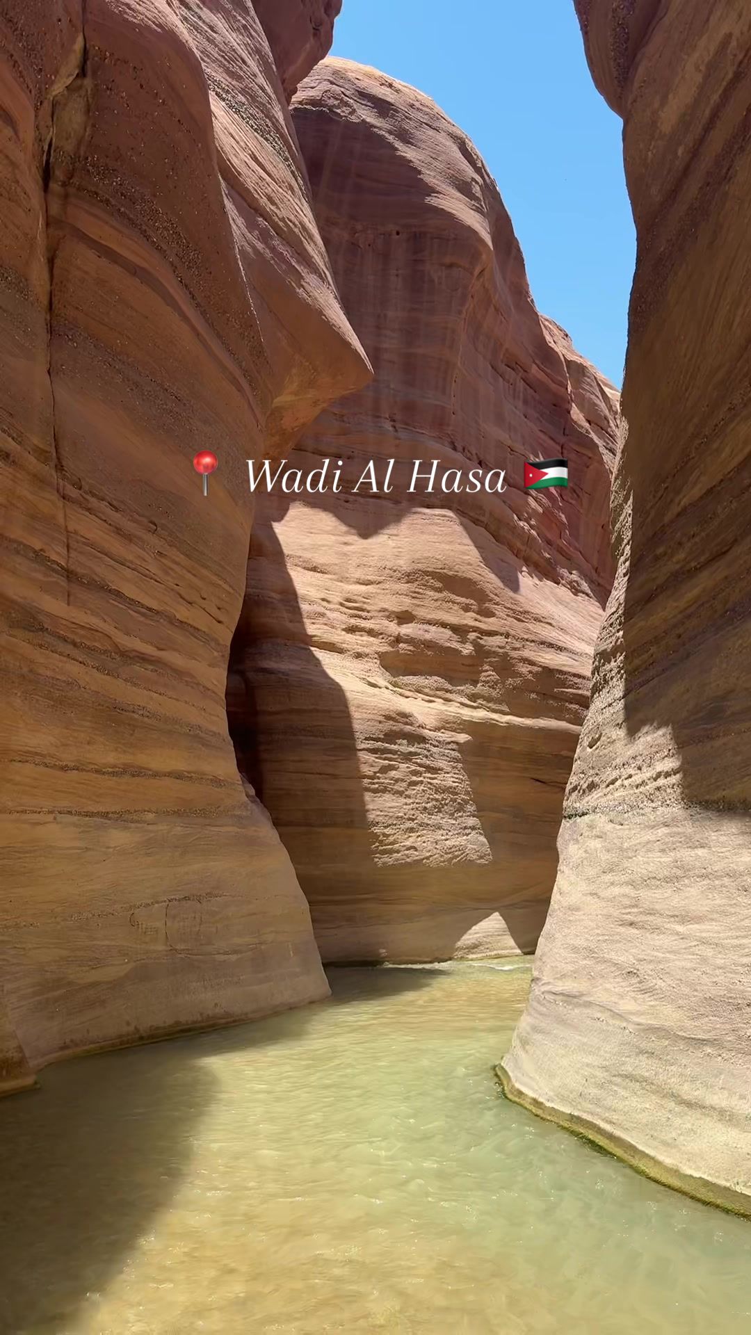 @Leen Wadi