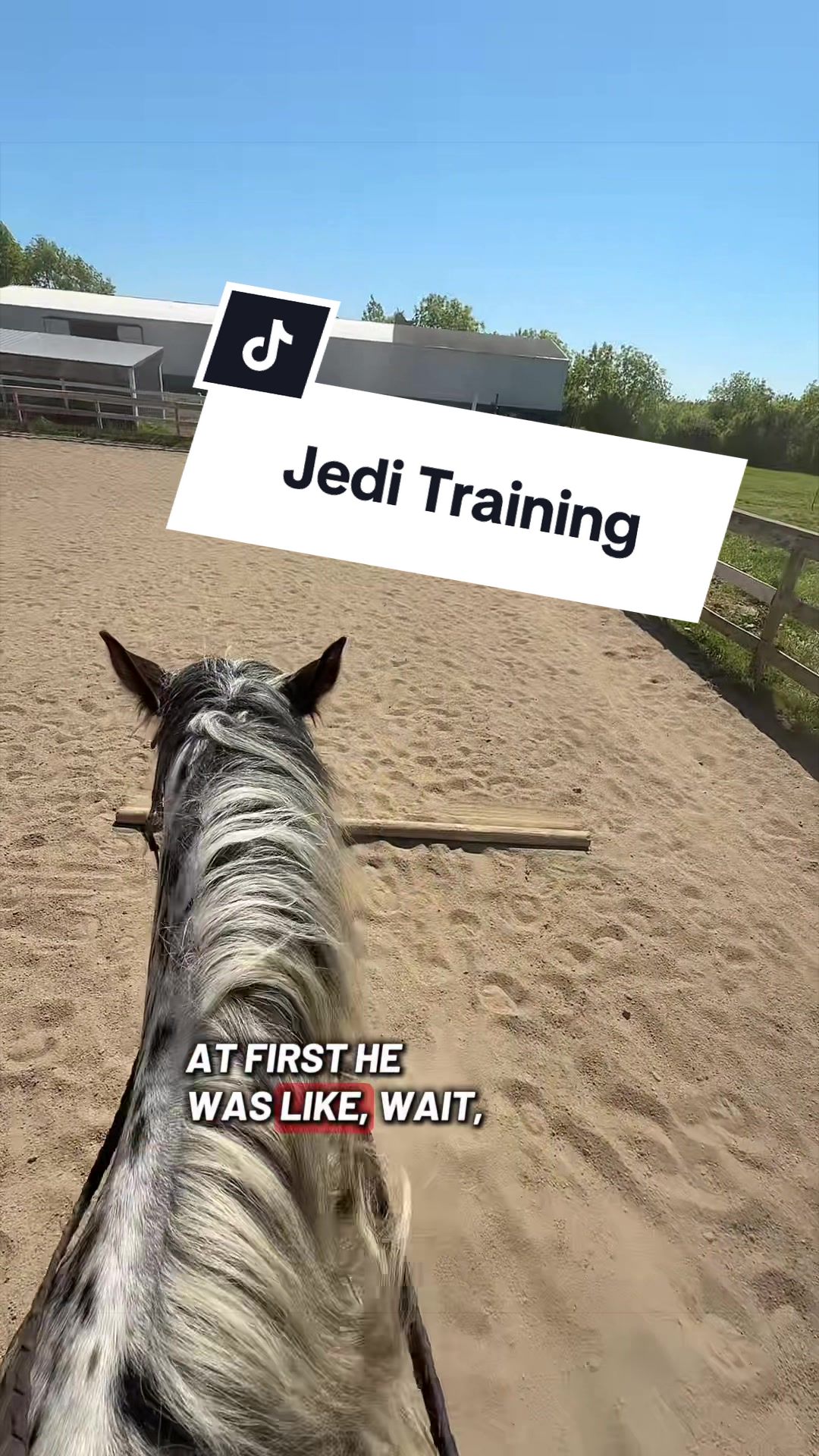 @Free Spirit Equestrian