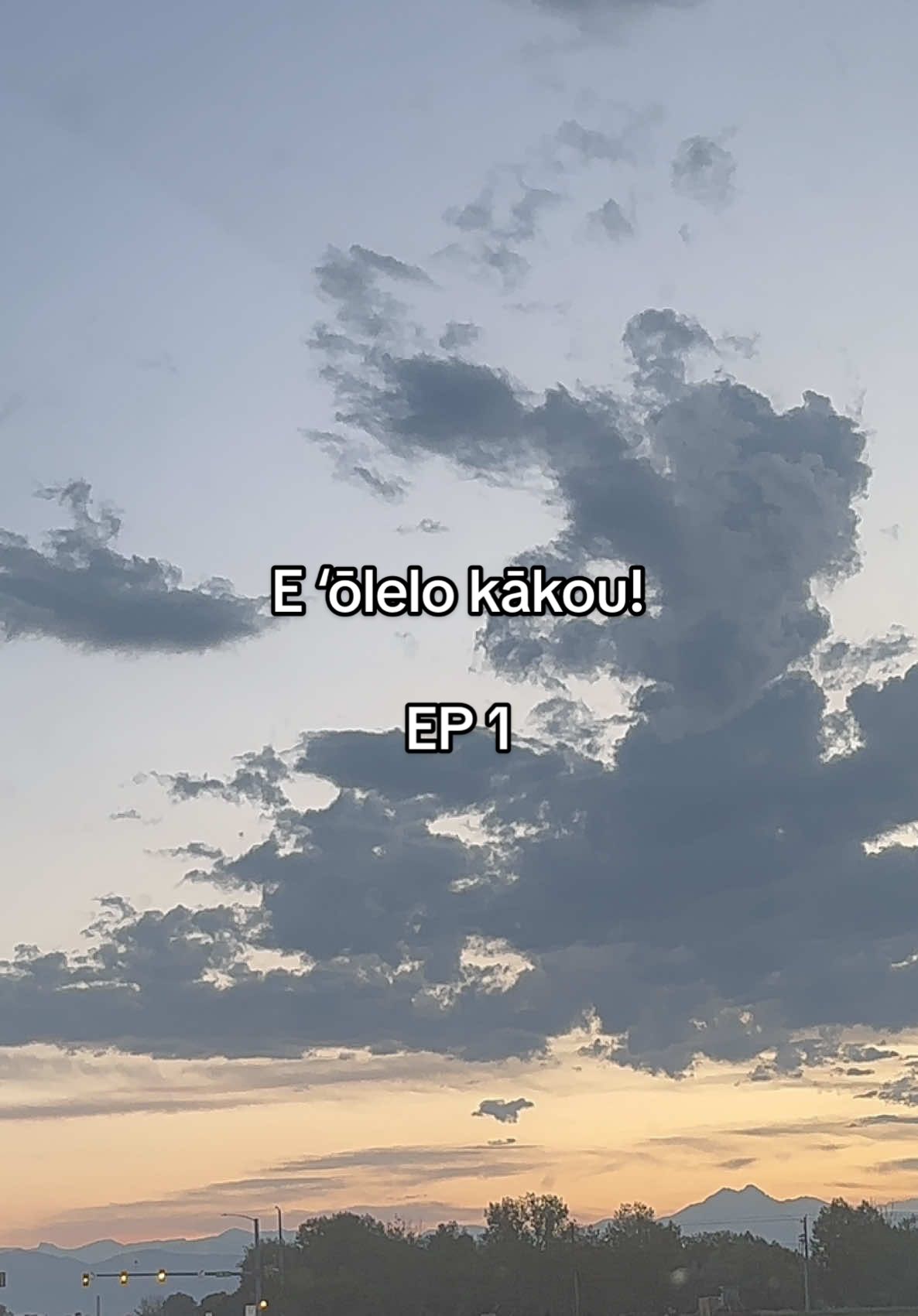 @Phoenix🕊️