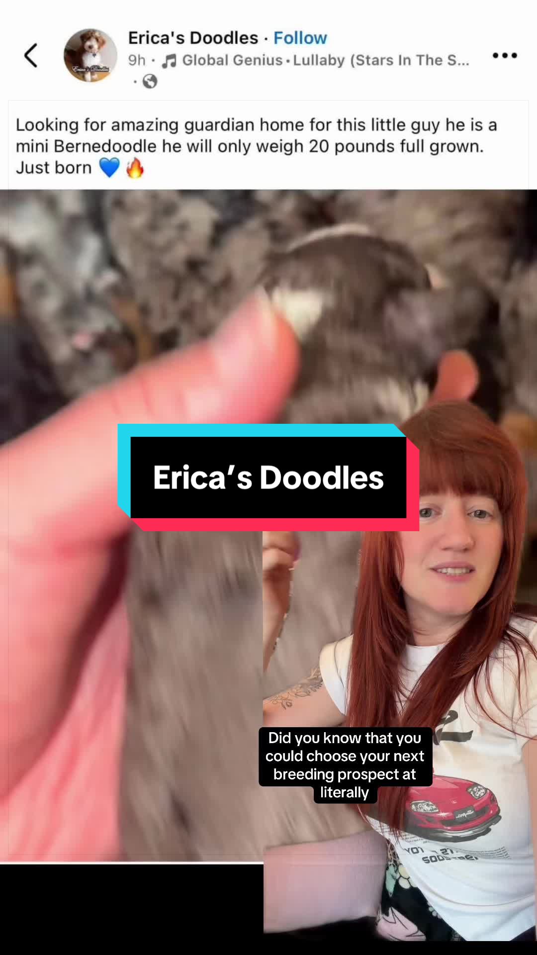 @Thetwoagoutis