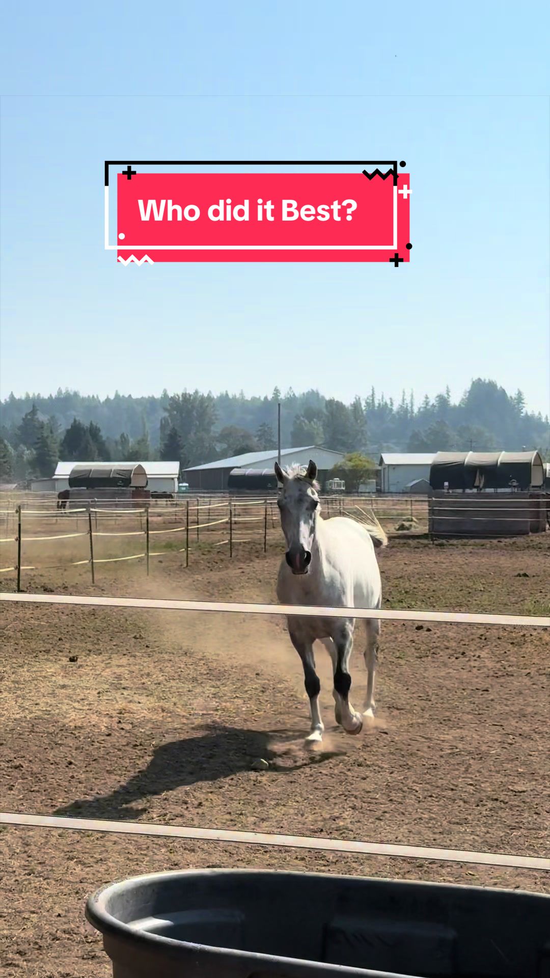 @BlueStarEquestrian