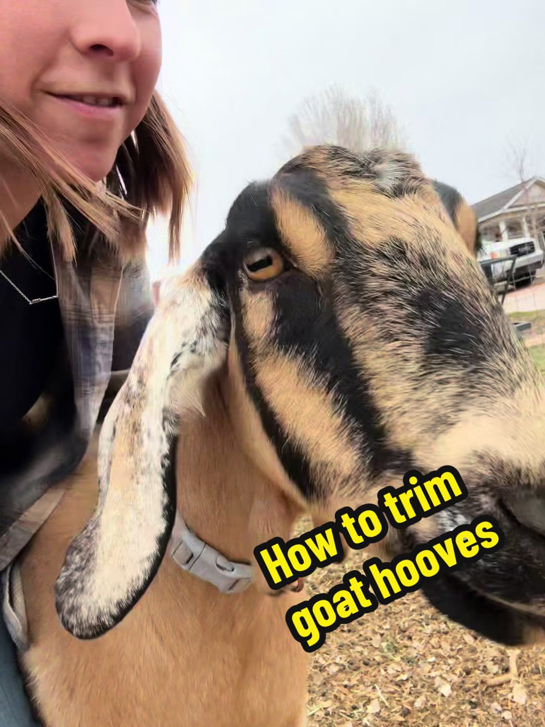 @moonbeammicrofarm
