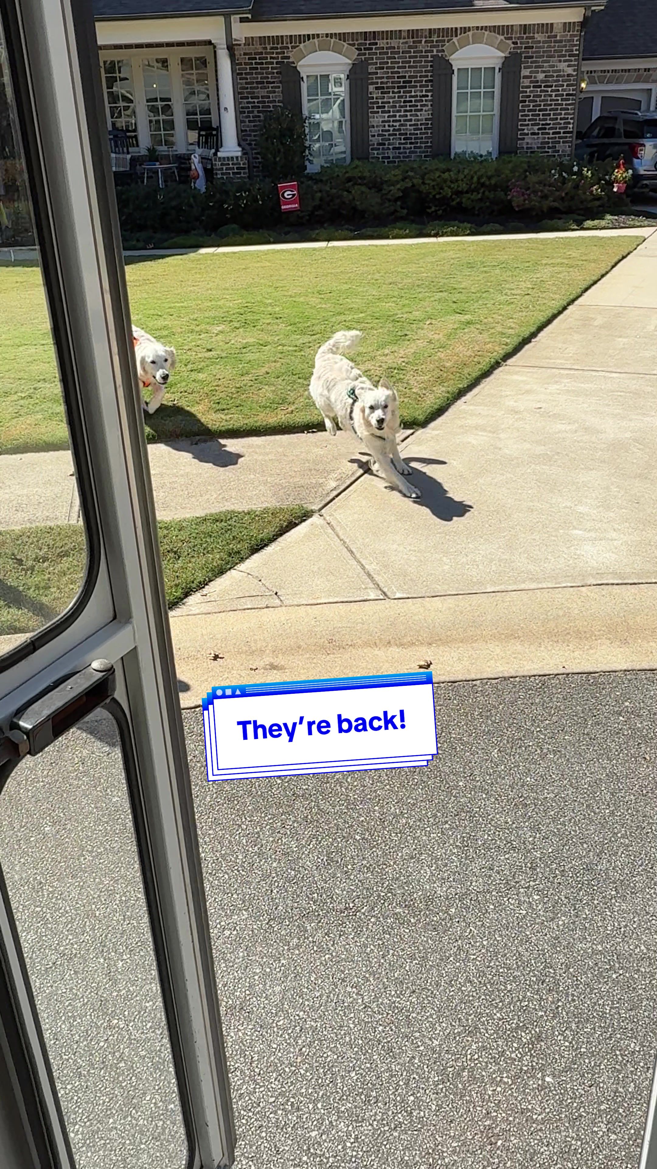 @The Storybook Bus