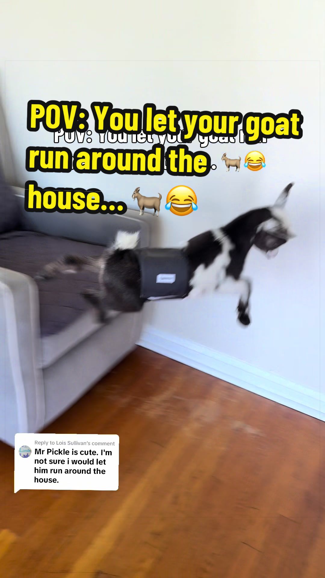 @KidsOnKerth 🐐 Hannah 💀🎃👻