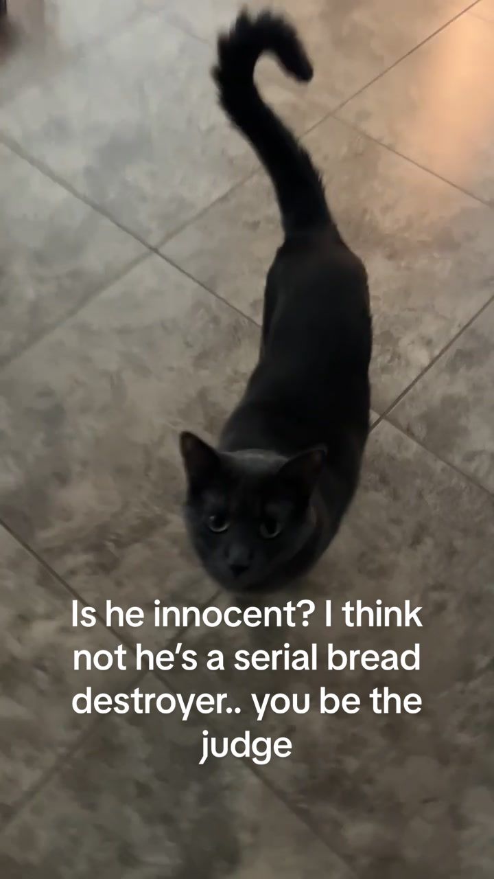 @Nat