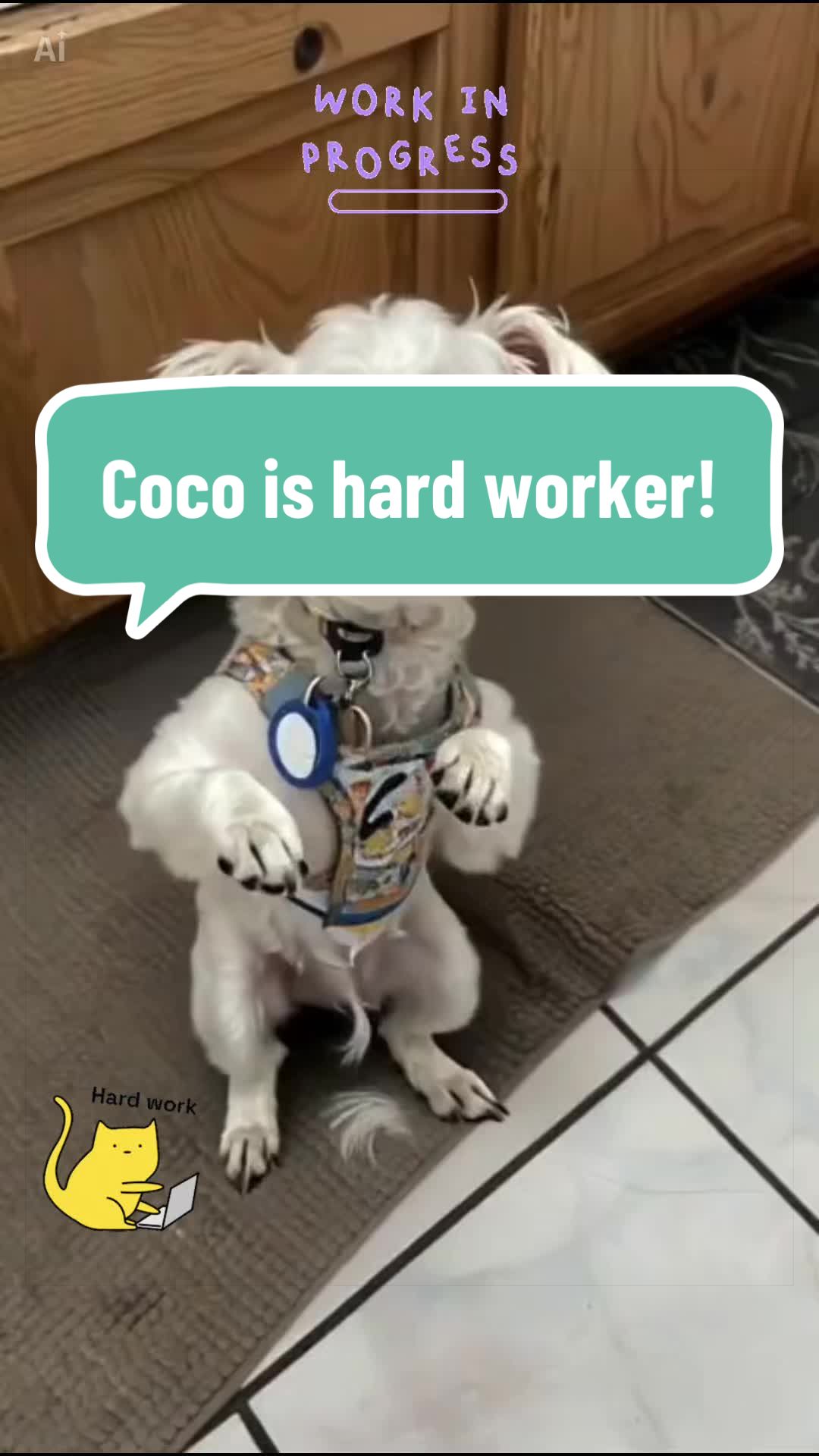 @Coco_puppysf
