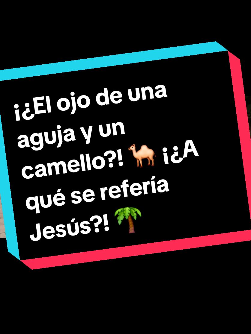 @Miguel Sánchez Ávila
