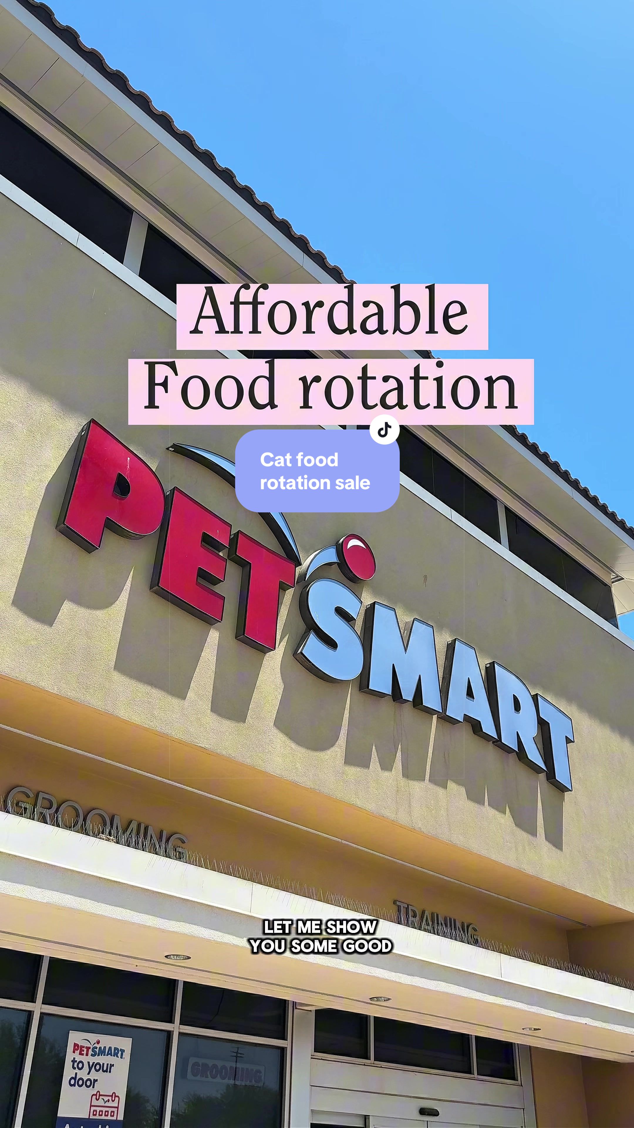 @Feminist Kitty | Cat Nutrition