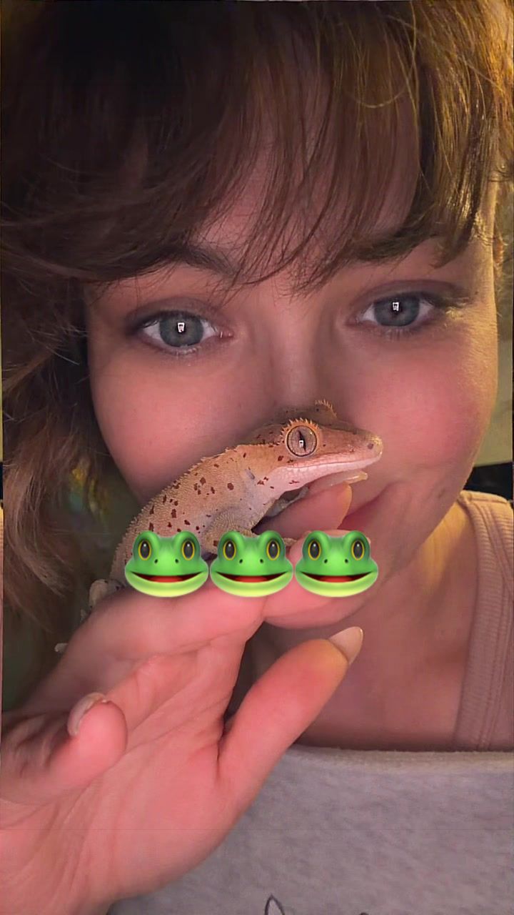 @indominusreps