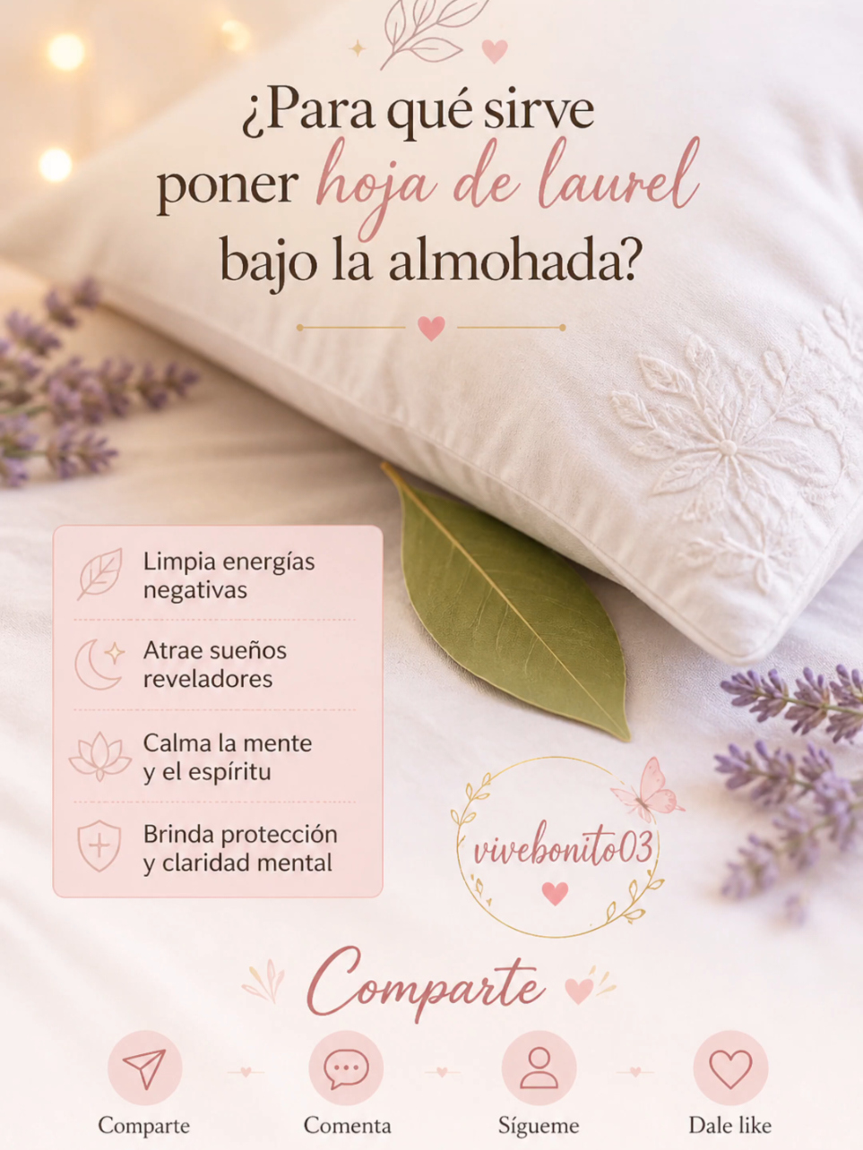 @Vivebonito