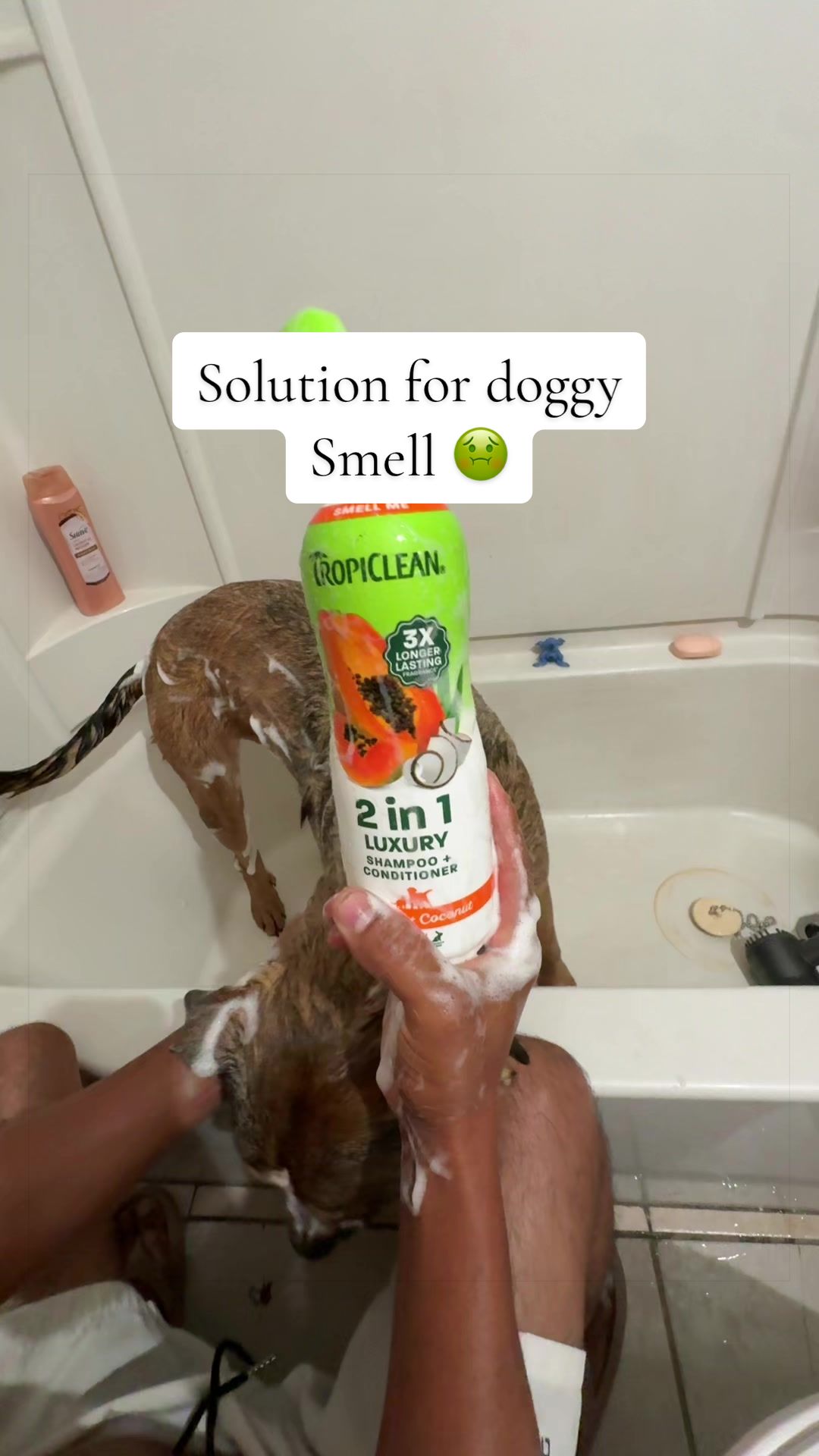 @🍒Miia Deals🍒