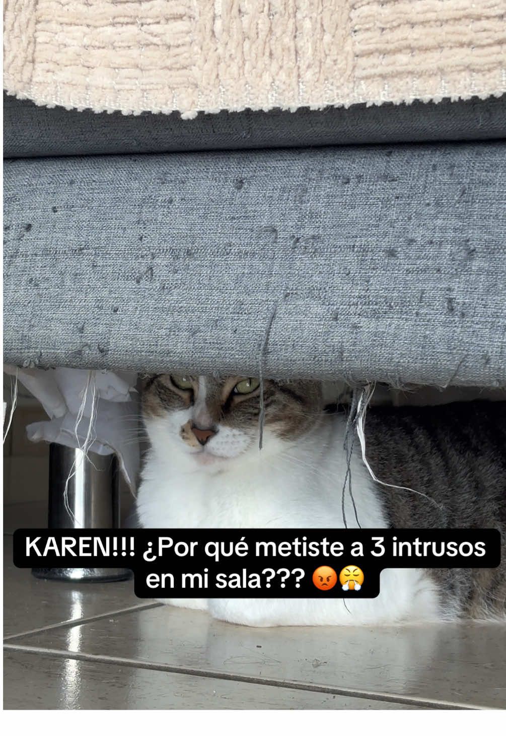 @Cathia Ortiz