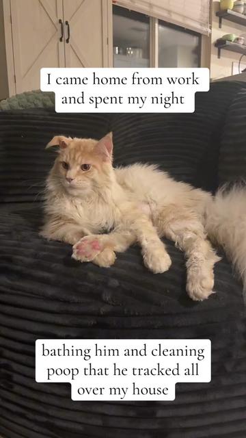 @Sonnyboy 🐈 Staci RN
