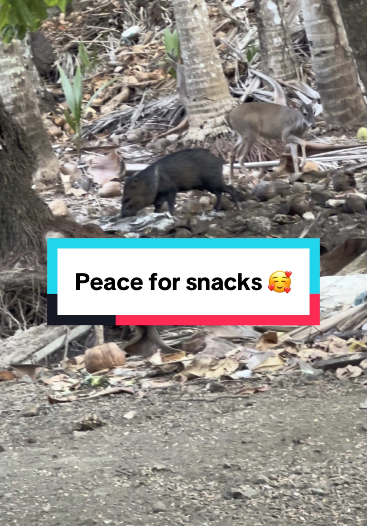 @goodenoughmediallc