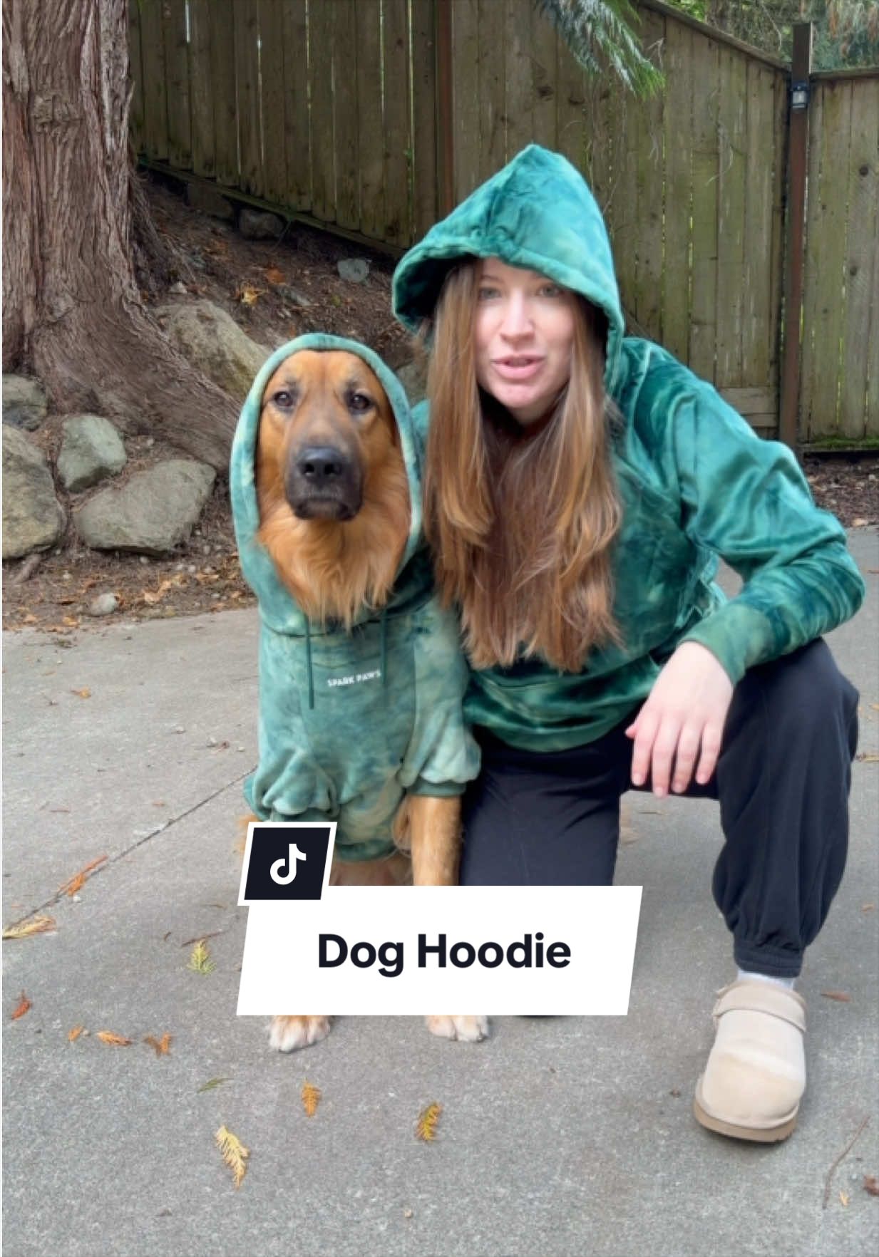 @lifewithgoldenshepherds