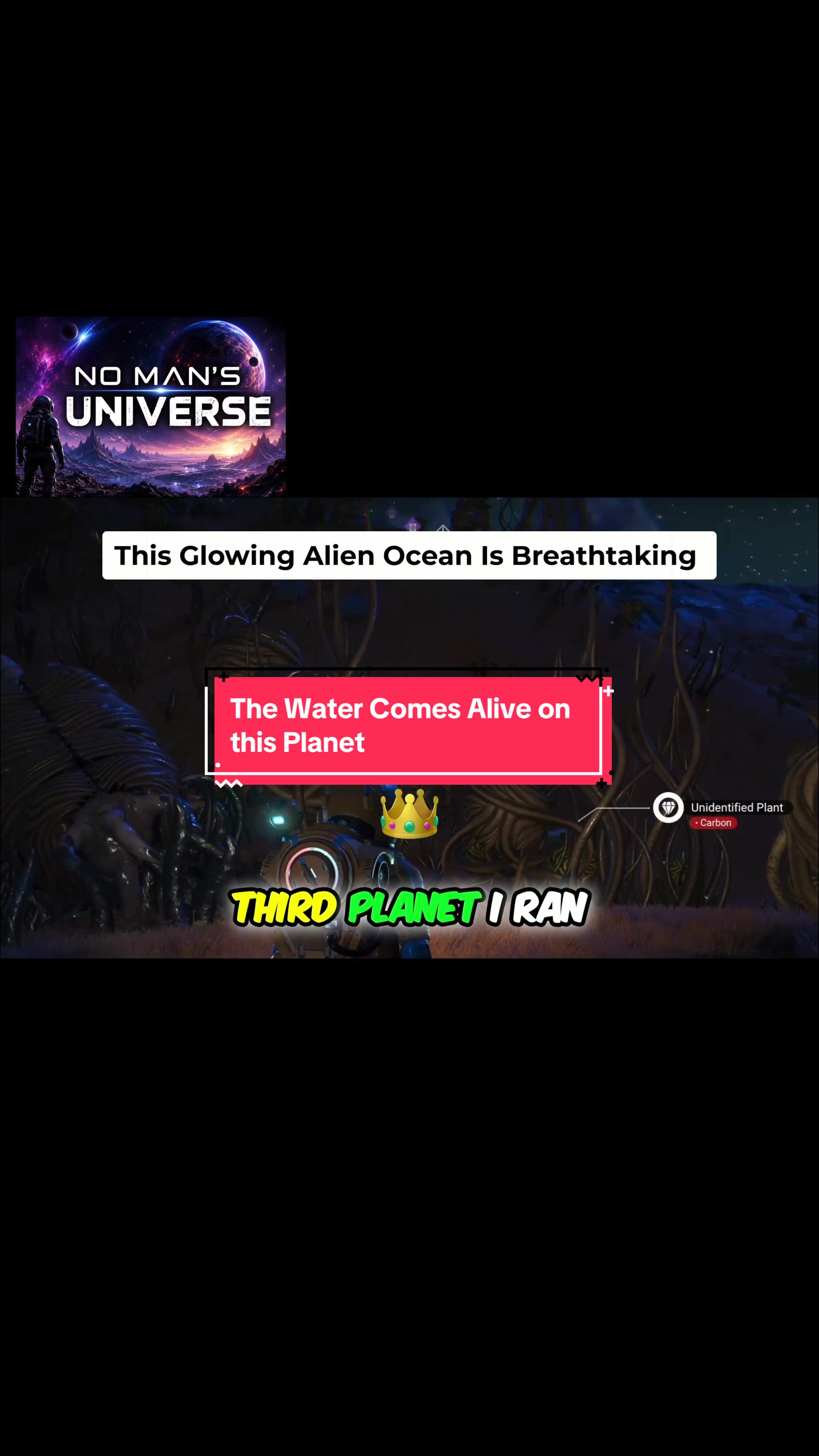 @No Man’s Universe